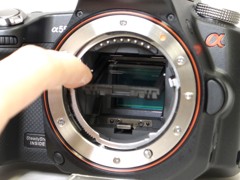 <b>透過している</b>