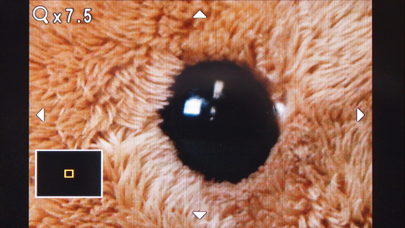 <b>ライブビューは2段階に拡大できる</b>