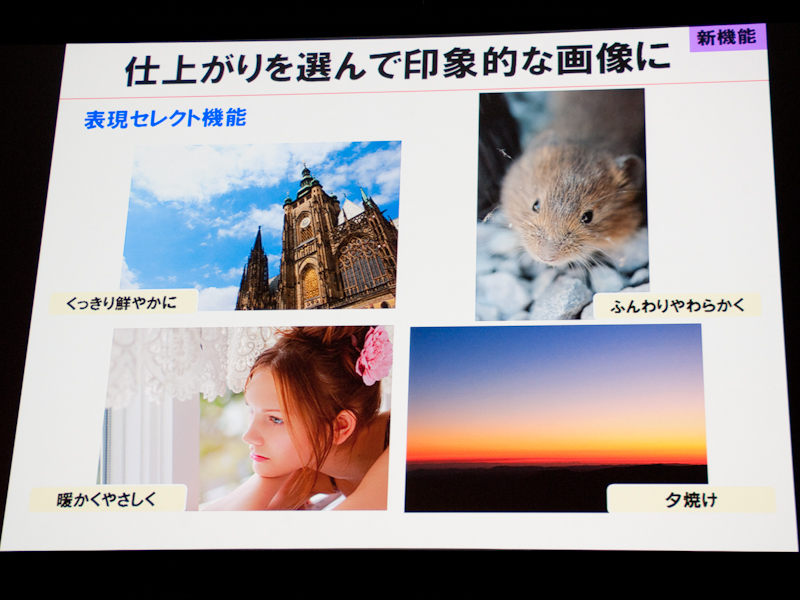 <b>表現セレクト機能</b>