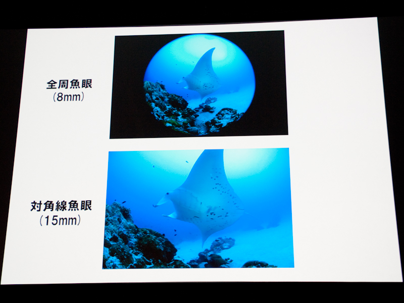 <b>全周から対角180度までを撮影できる</b>