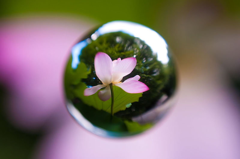 <b>宙玉レンズで撮影した写真。透明球に映る世界は天地逆さまになっているので、後から180度回転させている。ニコンD5000+AF-S Nikkor 18-55mm F3.5-5.6 G+ケンコーMCクローズアップレンズNo.10+アクリル製宙玉レンズ</b>