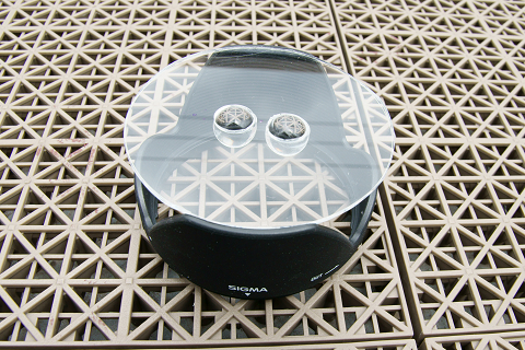 <b>レンズはシグマ17-70mm F2.8-4.5 DC Macro。マクロレンズで最短撮影距離が短いため、フードの先端に取り付けただけでピントが合ったそうだ</b>