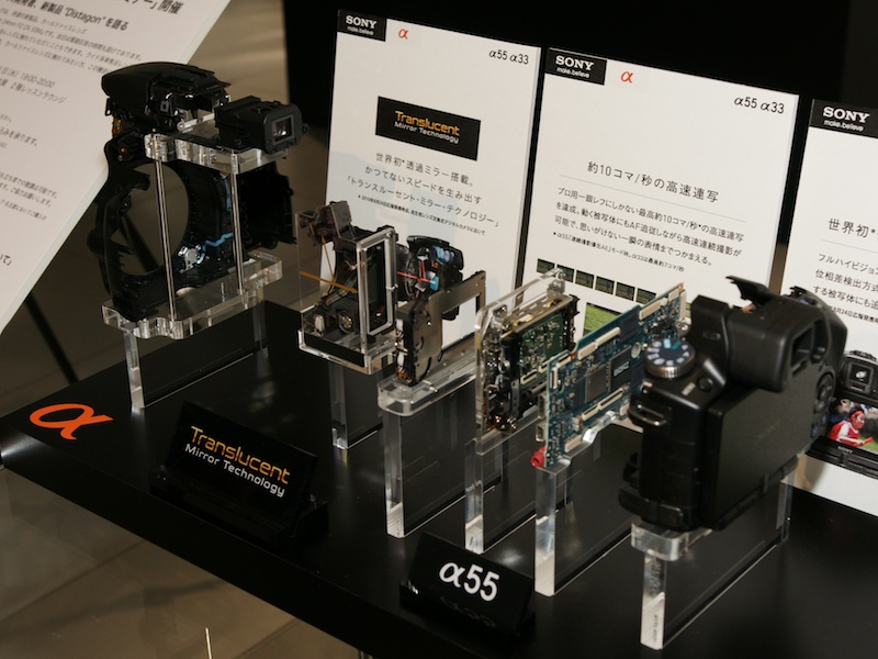 <b>α55の分解モデル</b>