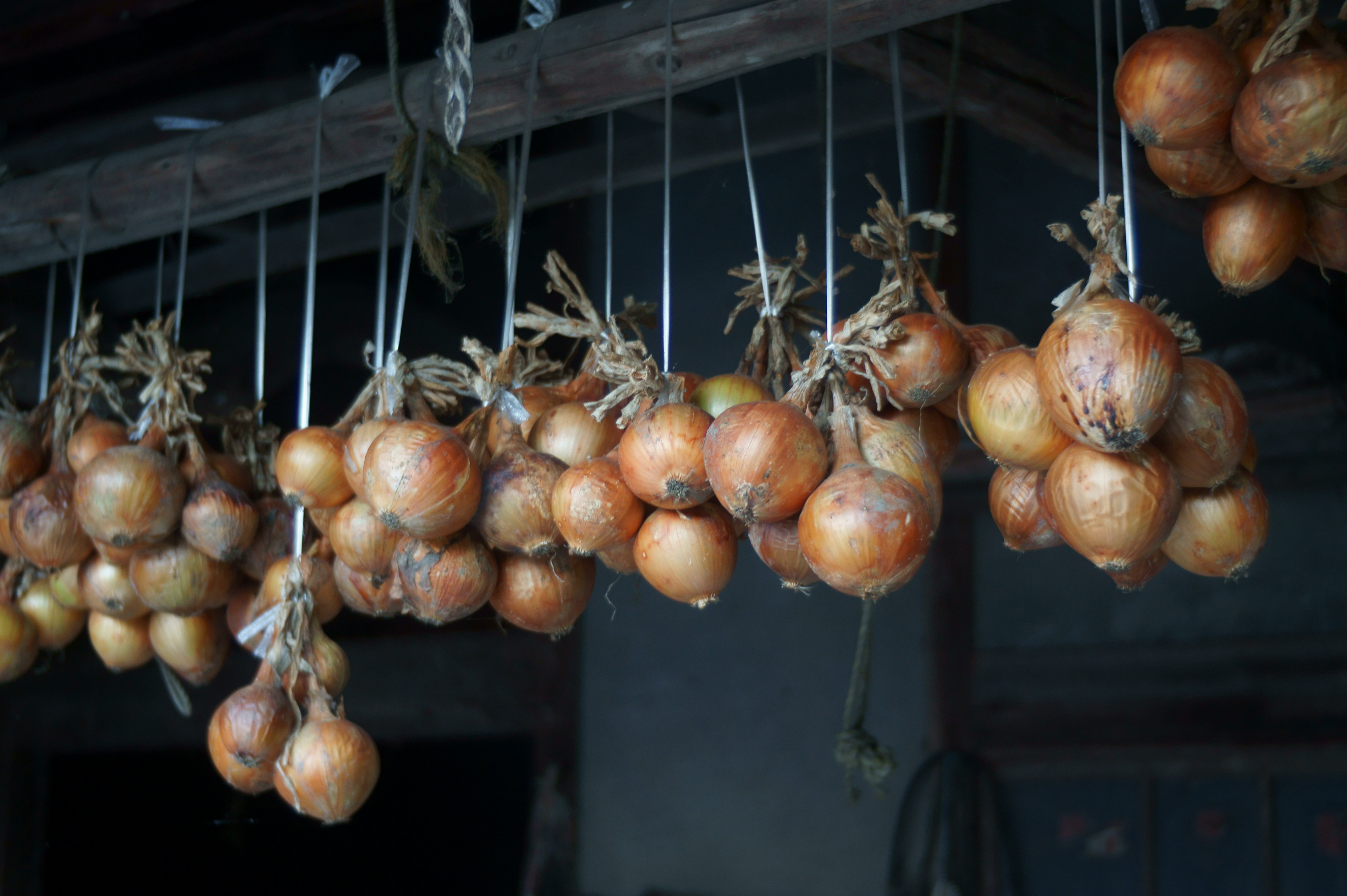 <b>NEX-5 / アンジェニュー 35mm F2.5 R1 / 4,592×3,056 / 1/25秒 / F2.5 / -0.3EV / ISO400 / WB:オート / 35mm</b>