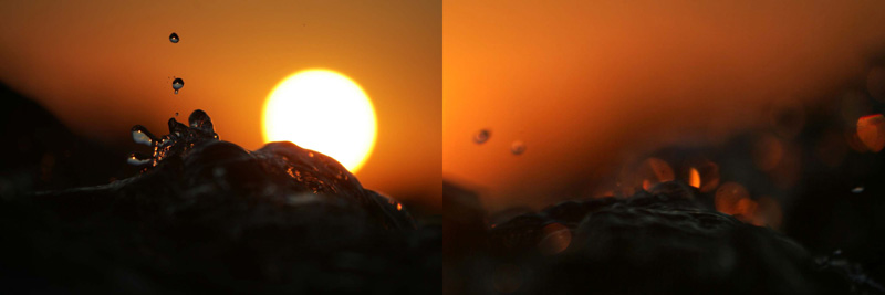 <b>(c)梶井照陰</b>