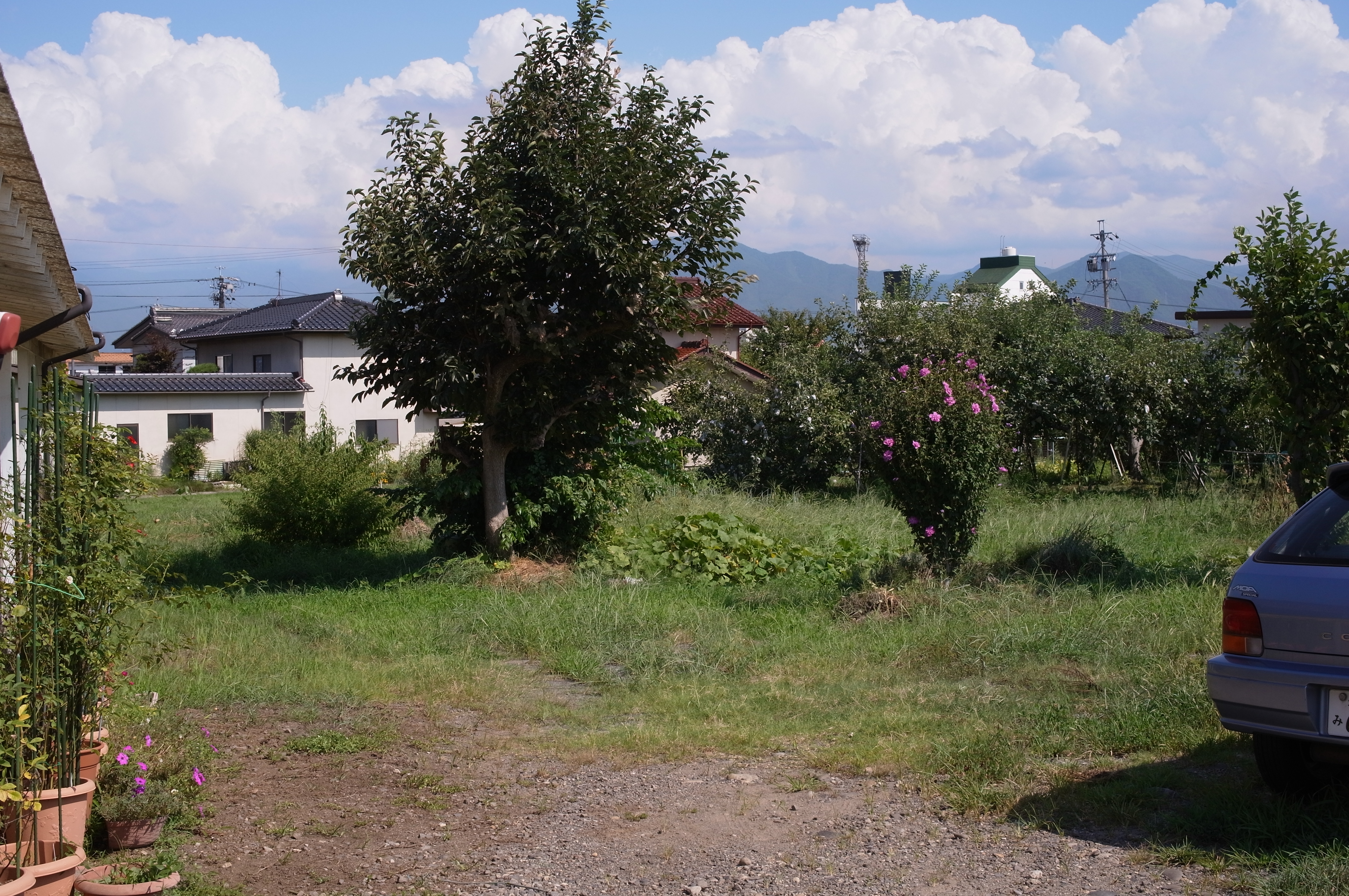 <b>GXR / GR LENS A12 50mm F2.5 Macro / 4,288×2,848 / 1/620秒 / F8 / -1EV / ISO200 / 絞り優先AE / WB:オート / 33mm</b>