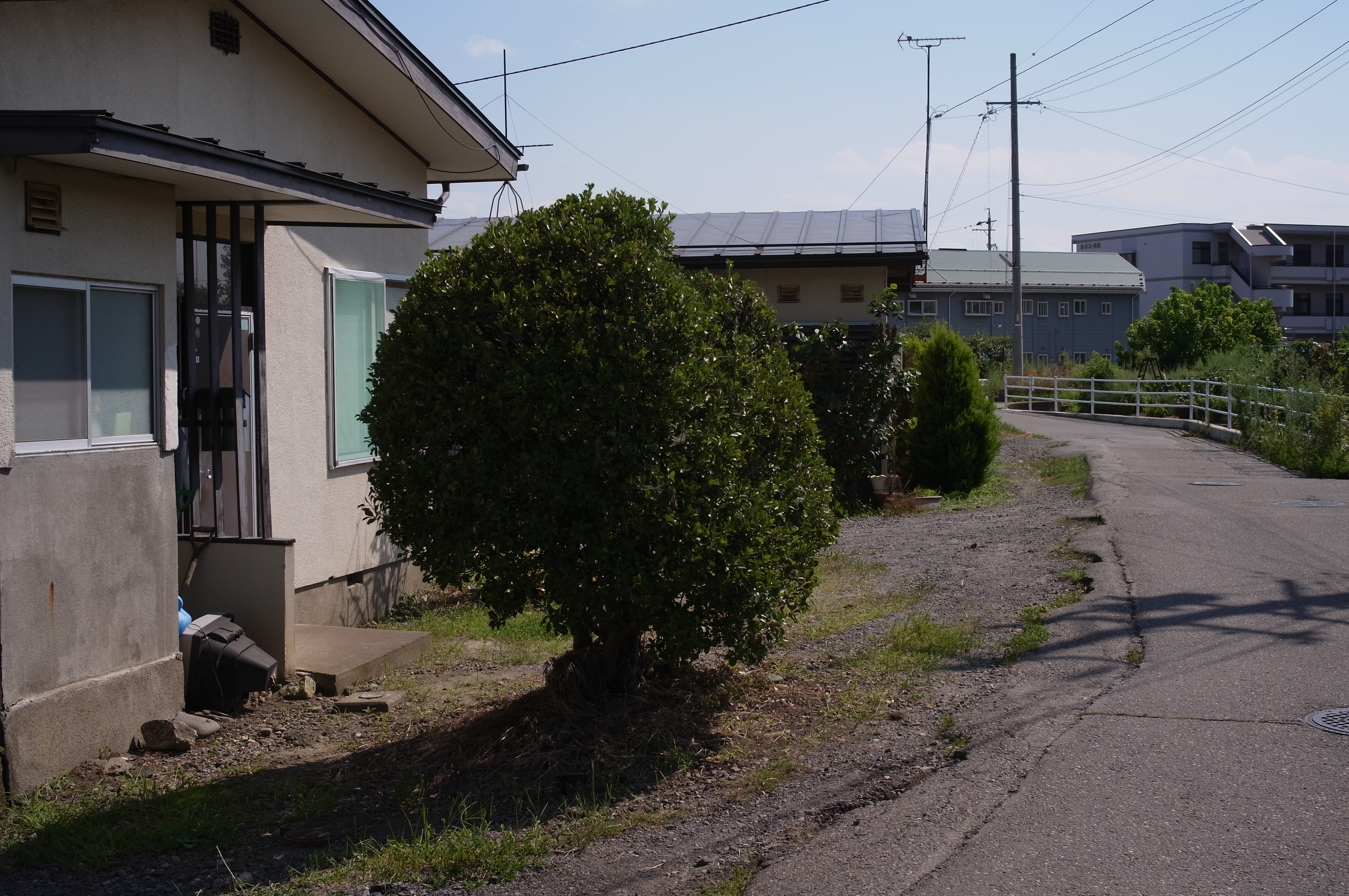 <b>GXR / GR LENS A12 50mm F2.5 Macro / 4,288×2,848 / 1/810秒 / F8 / -1EV / ISO200 / 絞り優先AE / WB:オート / 33mm</b>