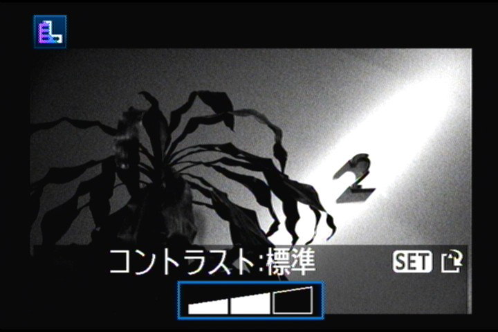 <b>ラフモノクロ</b>