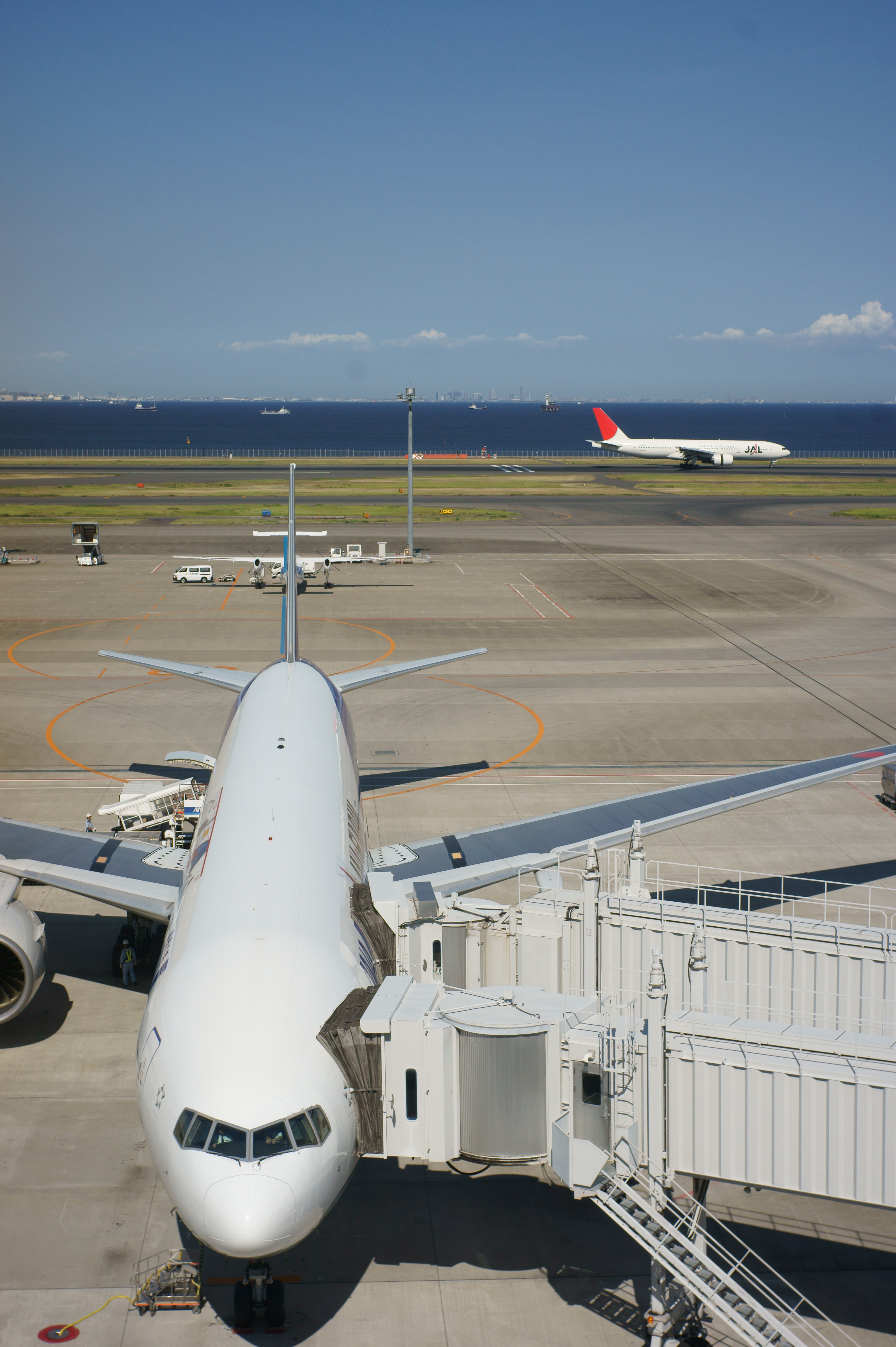 <b>NEX-5 / エルマー35mm F3.5 / 4,592×3,056 / 1/640秒 / F9 / 0EV / ISO200 / WB:オート / 40mm</b>