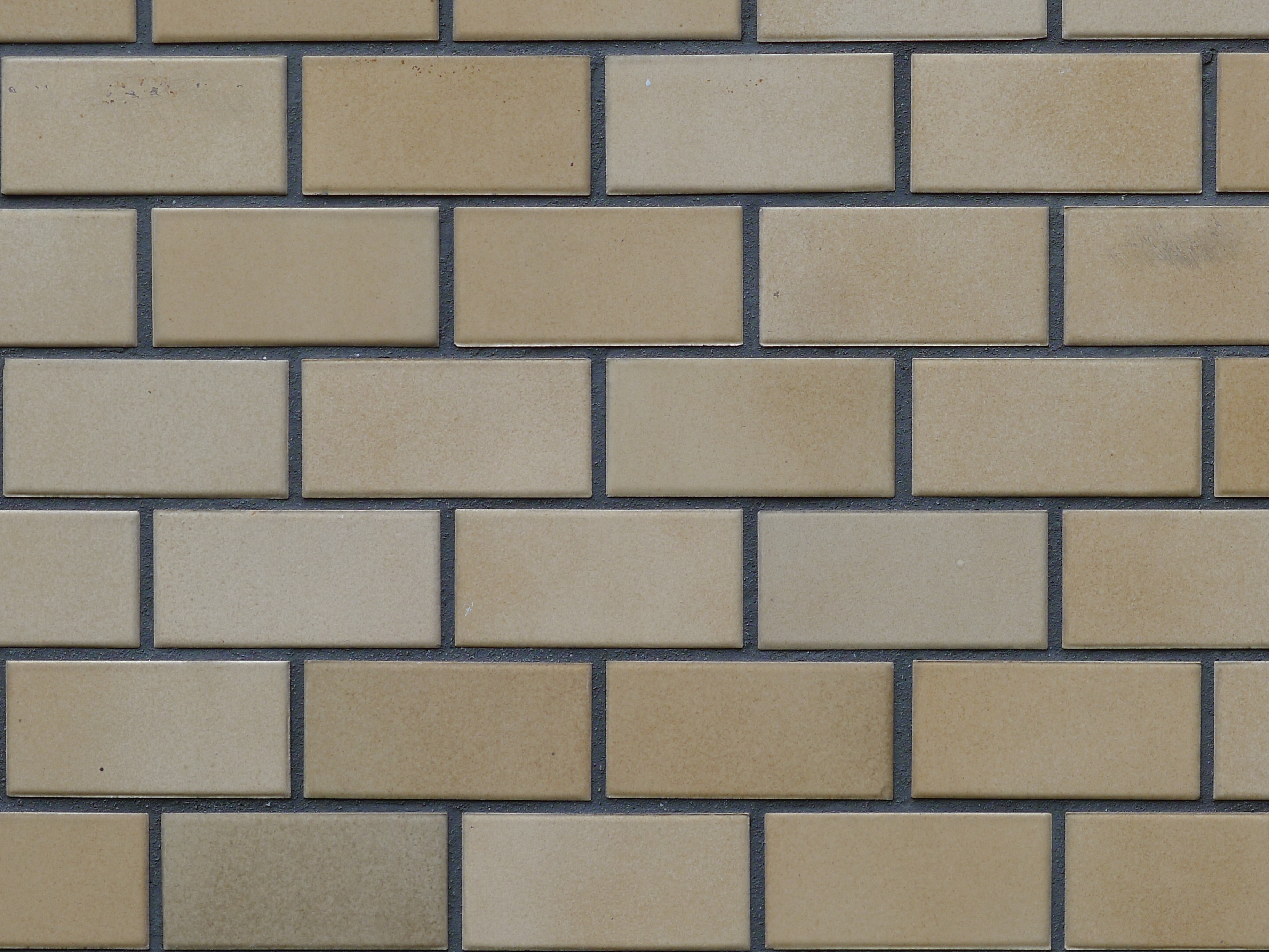 <b>望遠端<br>DMC-LX5 / 約3.5MB / 3,648×2,736 / 1/50秒 / F3.3 / +0.3EV / ISO80 / WB:オート / 19.2mm</b>