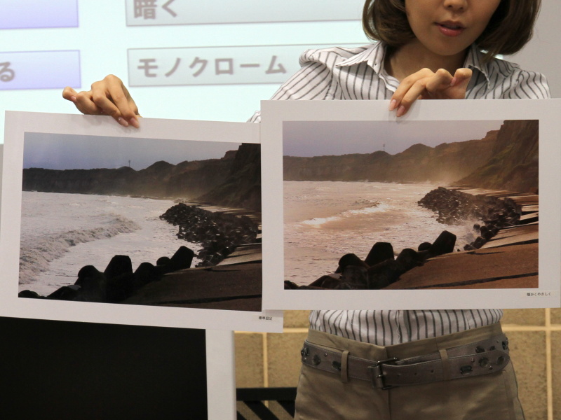 <b>「暖かくやさしく」の作例（右）。コントラストが控えめでペットや風景の撮影に向くとしていた</b>