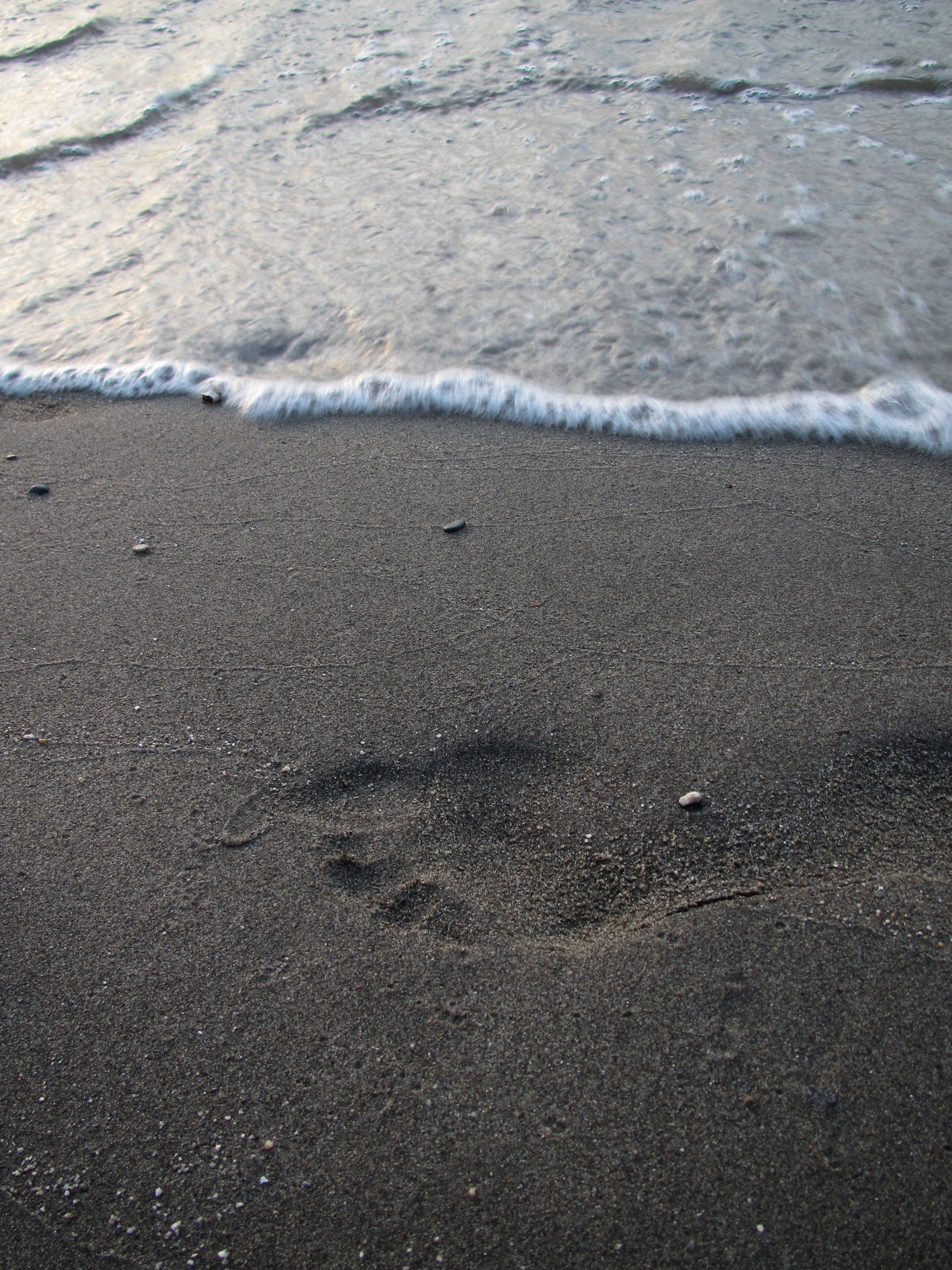<b>波打ち際で撮ってたら横をとおりすぎていった人が足跡を残していってくれた<br>IXY 50S / 3,648×2,736 / 1/40秒 / F3.4 / -1EV / ISO125 / WB:太陽光 / 6.3mm（36mm相当）</b>