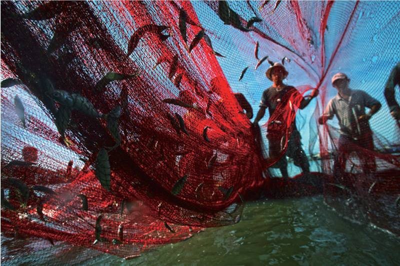 <b>アマチュア部門のVinh Nghia氏によるベトナムで水揚げしたばかりの水産物を運ぶ漁師の姿</b>