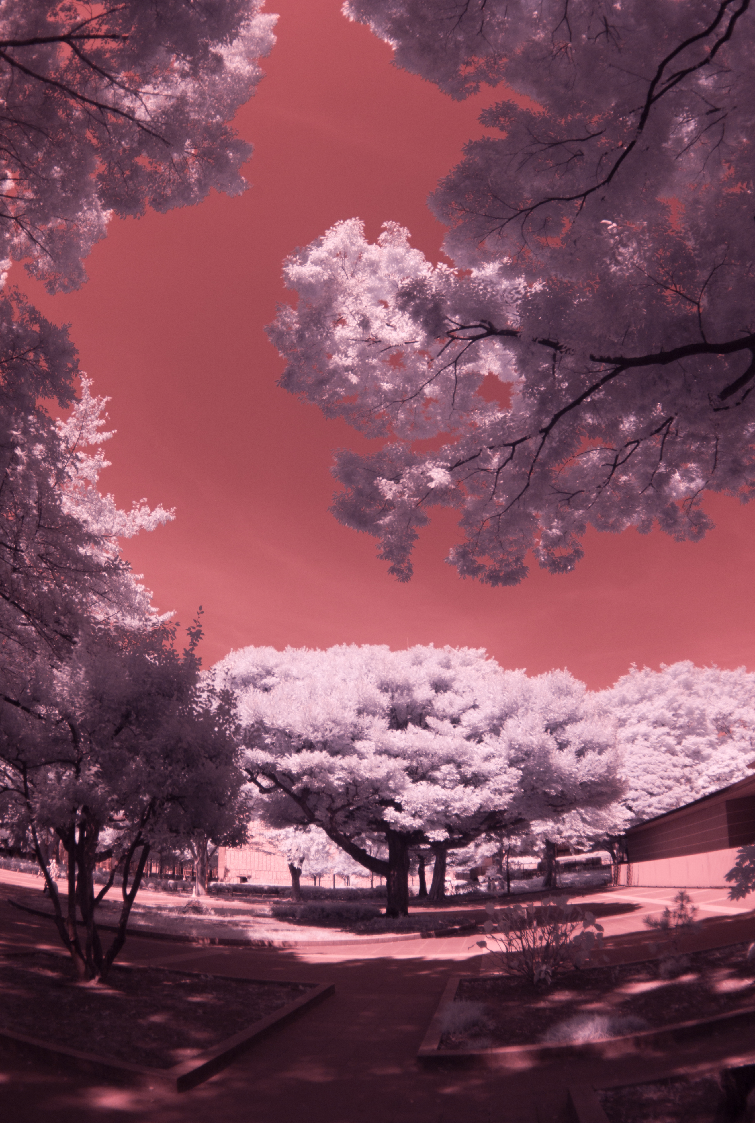 <b>M8 / MCゼニター-M 16mm F2.8 / 3,916×2,634 / 1/30秒 / F4 / 0EV / ISO160 / WB:オート / 16mm</b>