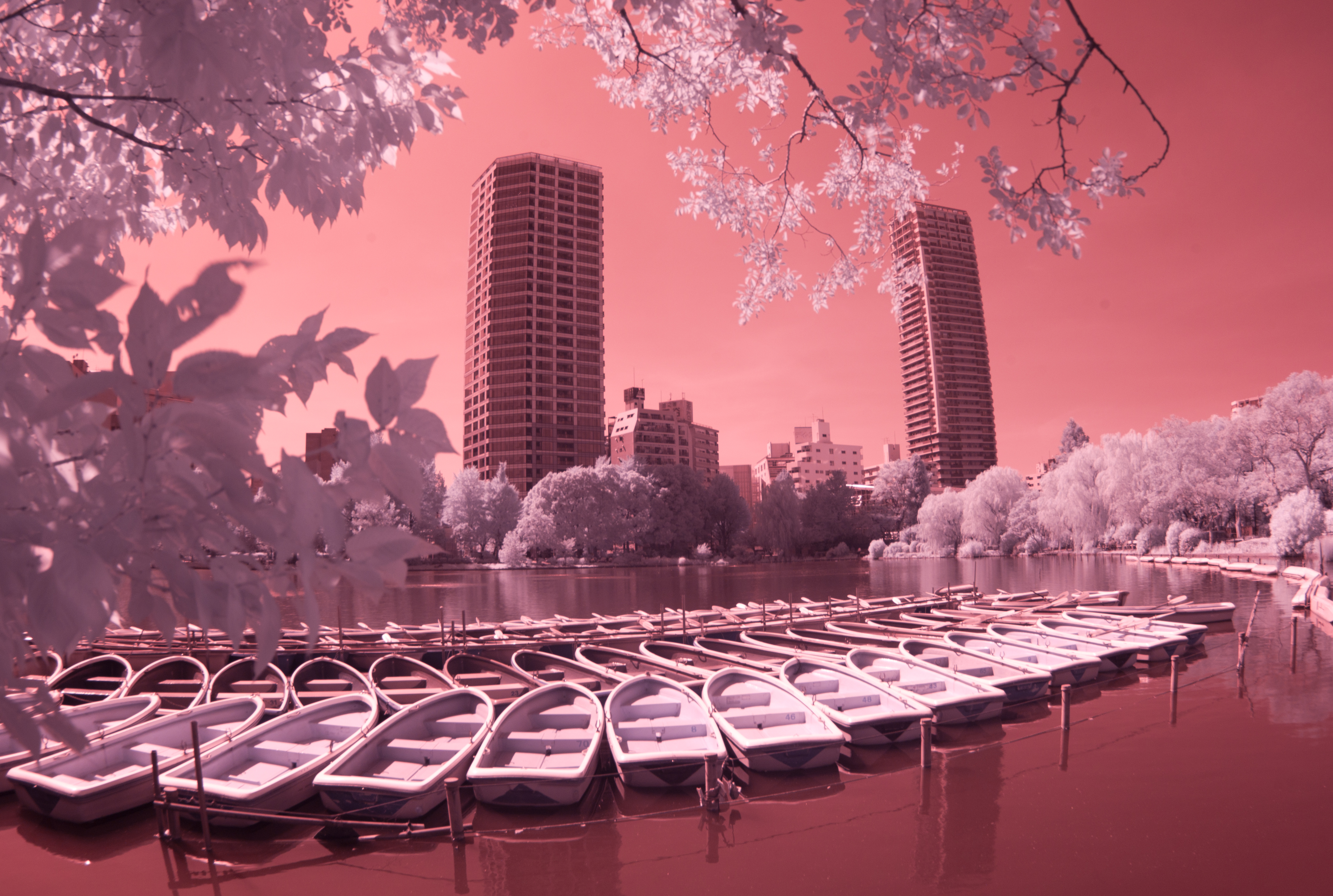 <b>M8 / MCゼニター-M 16mm F2.8 / 3,916×2,634 / 1/15秒 / F4 / 0EV / ISO160 / WB:オート / 16mm</b>