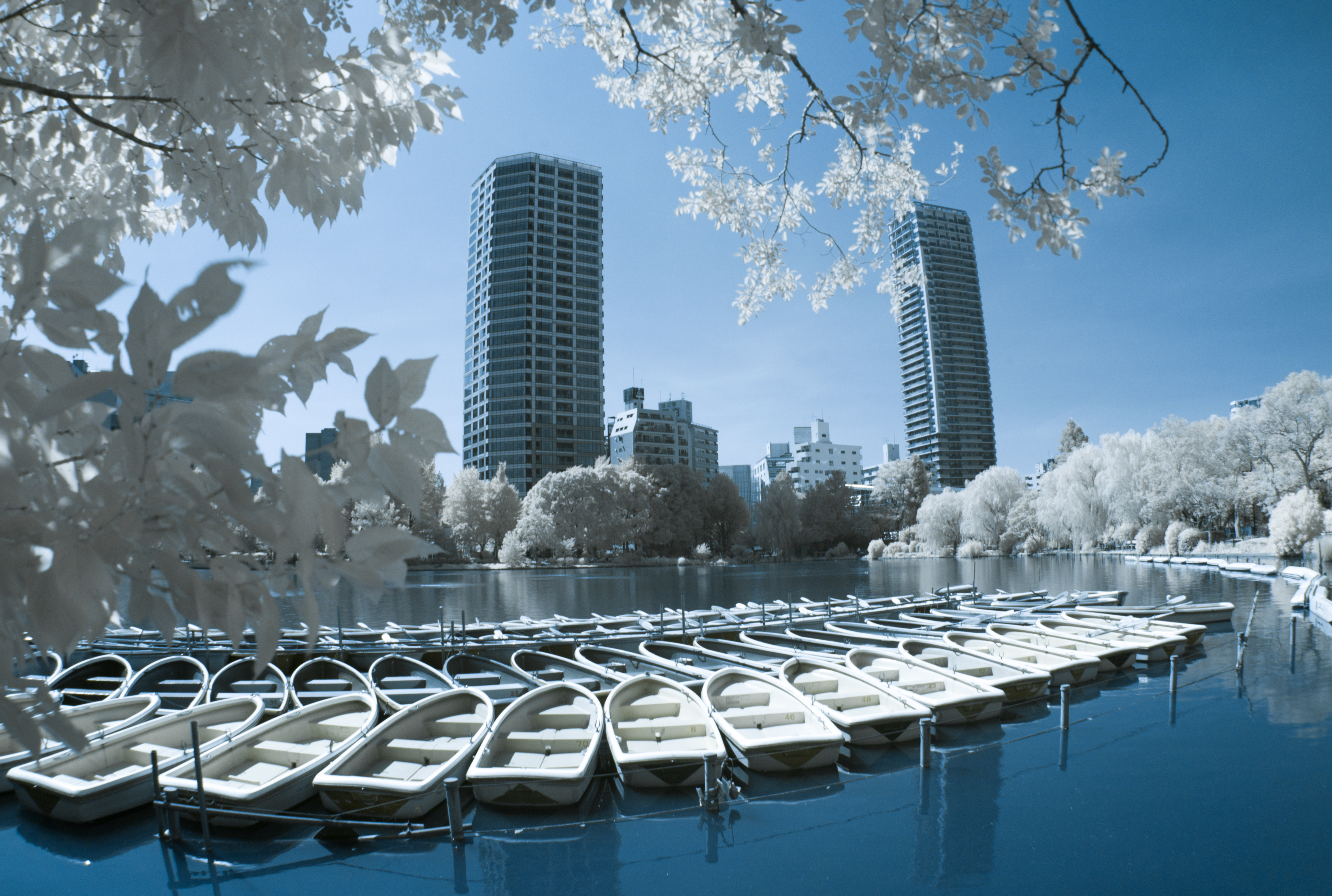 <b>M8 / MCゼニター-M 16mm F2.8 / 3,916×2,634 / 1/15秒 / F4 / 0EV / ISO160 / WB:オート / 16mm</b>