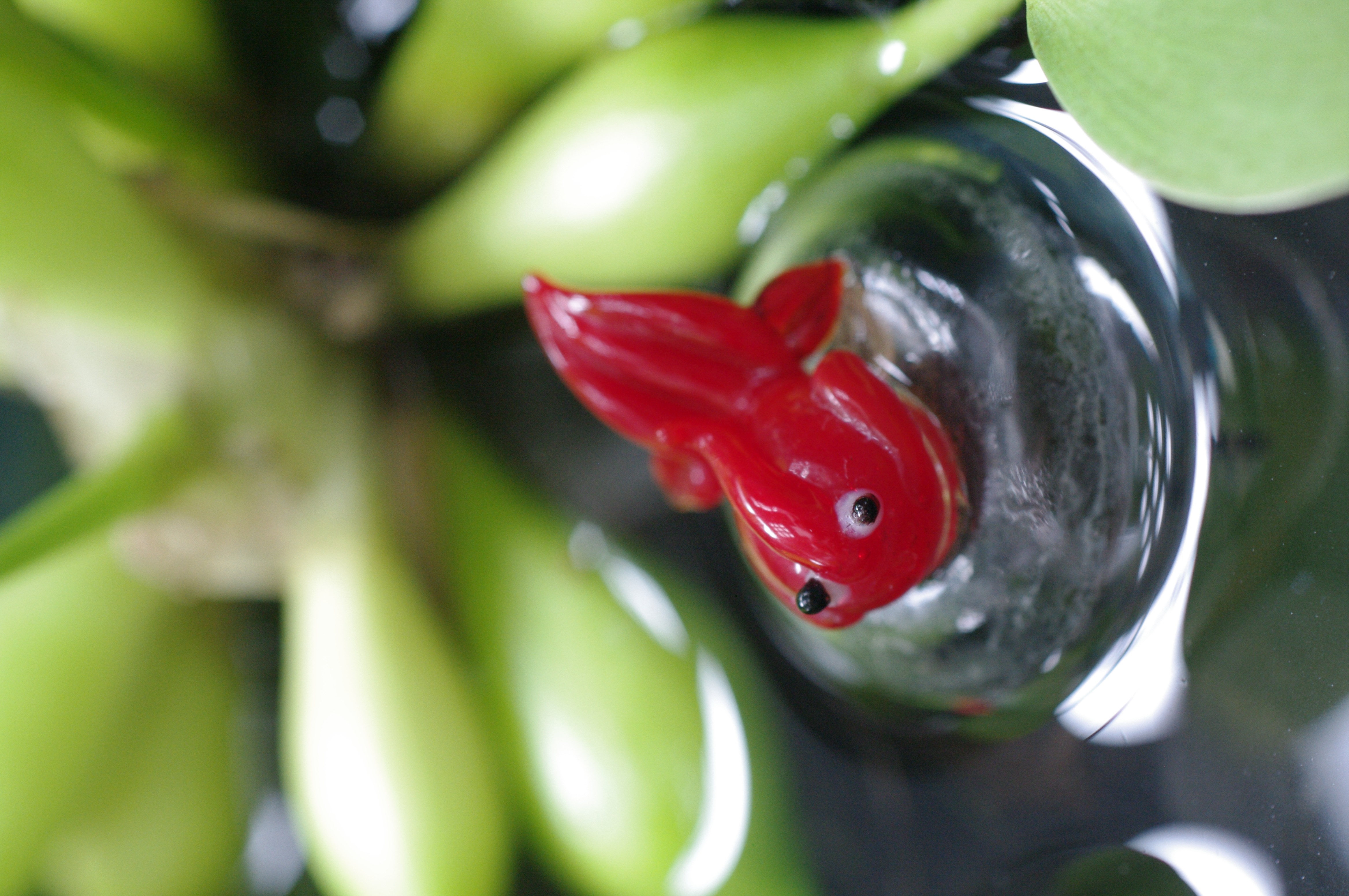 <b>ナチュラル<br>K-7 / A Macro 50mm F2.8 / 約6.5MB / 3,104×4,672 / 1/20秒 / F4 / 0EV / ISO800 / WB:オート / 50mm</b>