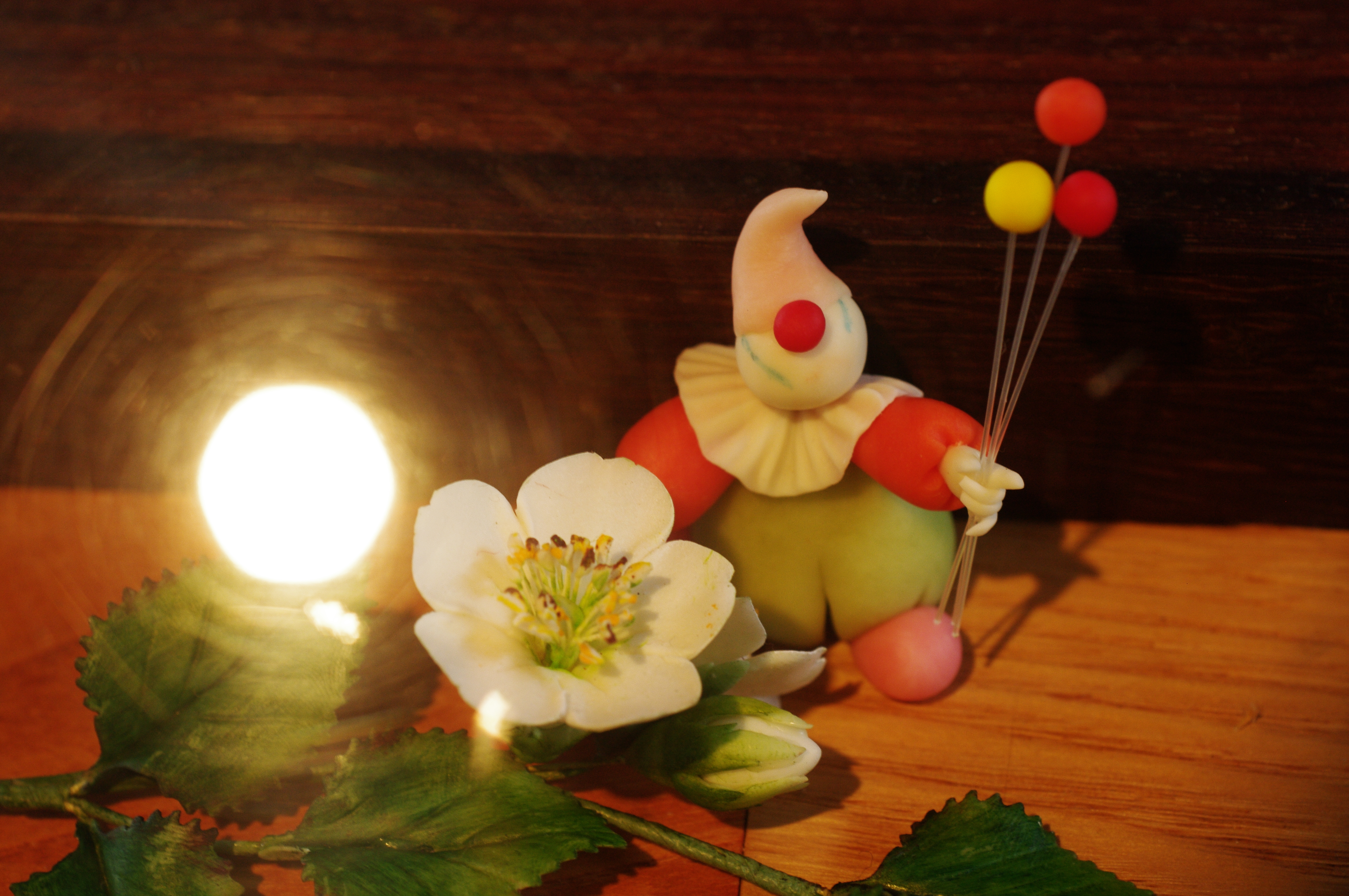 <b>リバーサルフィルム<br>K-7 / A Macro 50mm F2.8 / 約9.9MB / 4,672×3,104 / 1/20秒 / F5.6 / 0EV / ISO400 / WB:オート / 50mm</b>