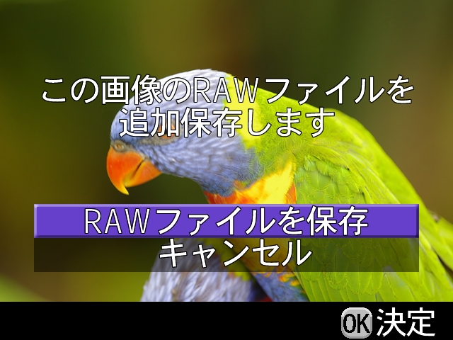 <b>RAW画像追加保存</b>