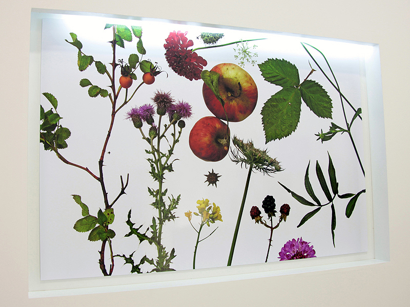 <b>ブース内にはSD1で撮影したプリントを展示していた</b>