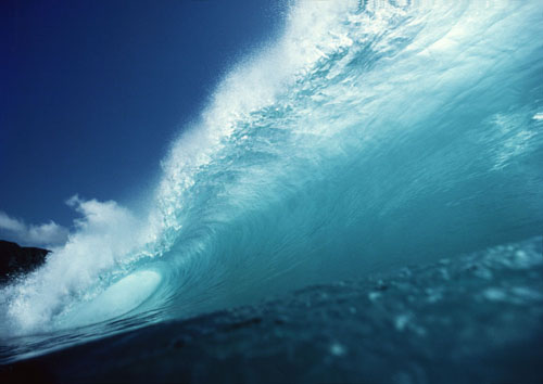 <b>(c)芝田満之</b>