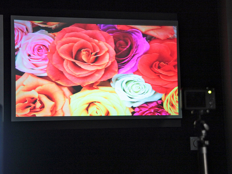 <b>暗室中で実際にPJ1で投影した映像</b>