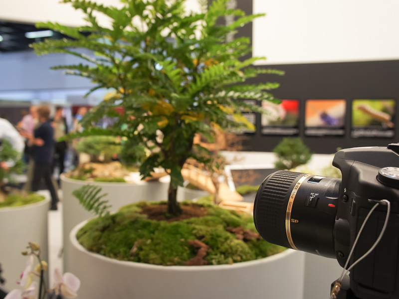 <b>試写コーナーでは、欧米で人気の盆栽風の被写体を撮影できるようになっていた</b>