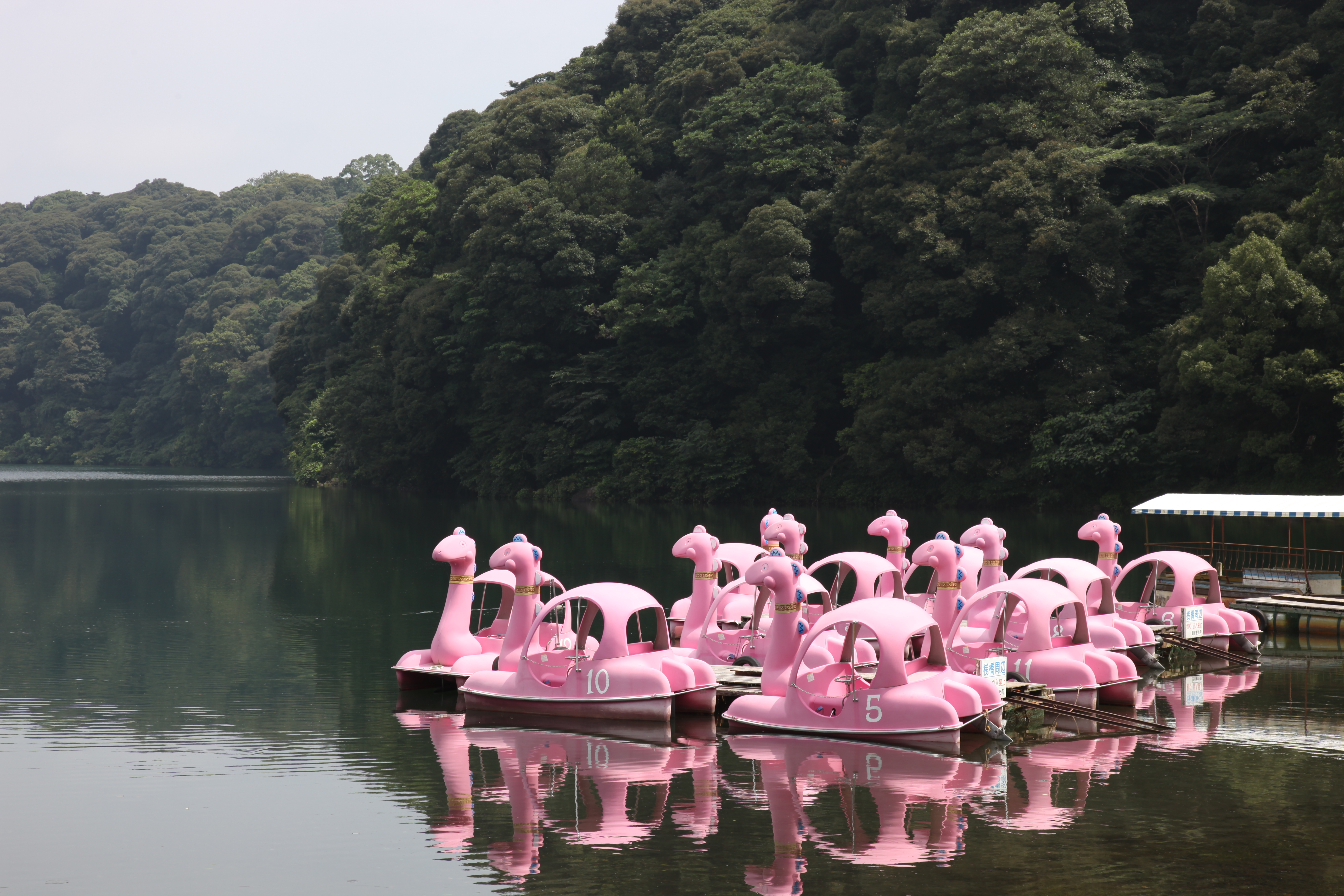 <b>EOS 5D Mark II / EF 24-105mm F4 L IS USM / 約6.1MB / 5,616×3,744 / 1/80秒 / F11 / -1.3EV / ISO100 / WB:オート / 75mm</b>