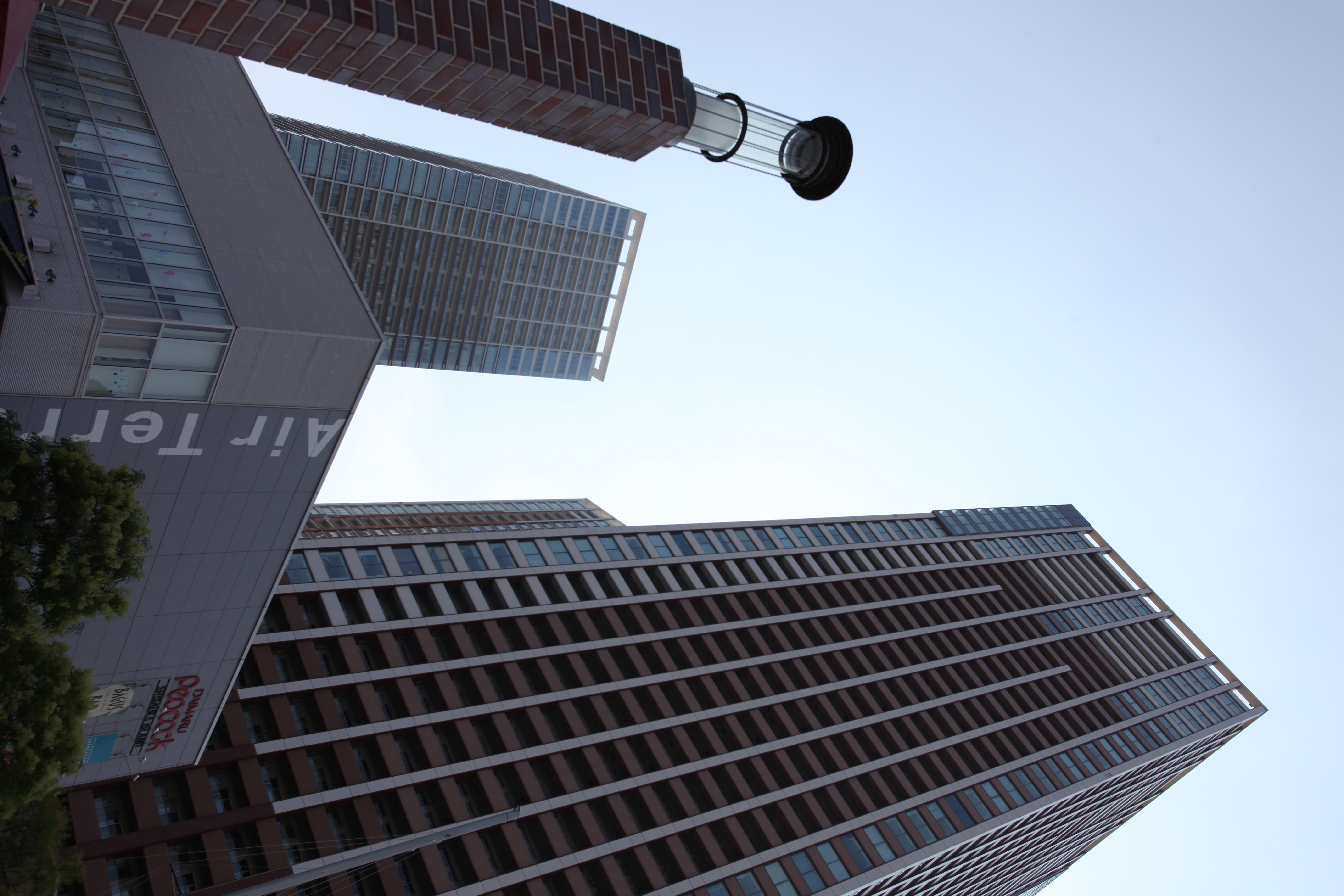 <b>EOS 5D Mark II / EF 17-40mm F4 L USM / 約4.7MB / 3,744×5,616 / 1/400秒 / F8 / 0EV / ISO100 / WB:オート / 28mm</b>