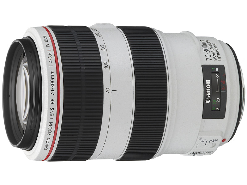 <b>フォトキナ2010の前にキヤノンが発表したEF 70-300mm F4-5.6 L IS USM（左）とEF 8-15mm F4 L Fisheye USM</b>