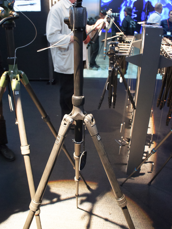 <b>Safari Traveler</b>