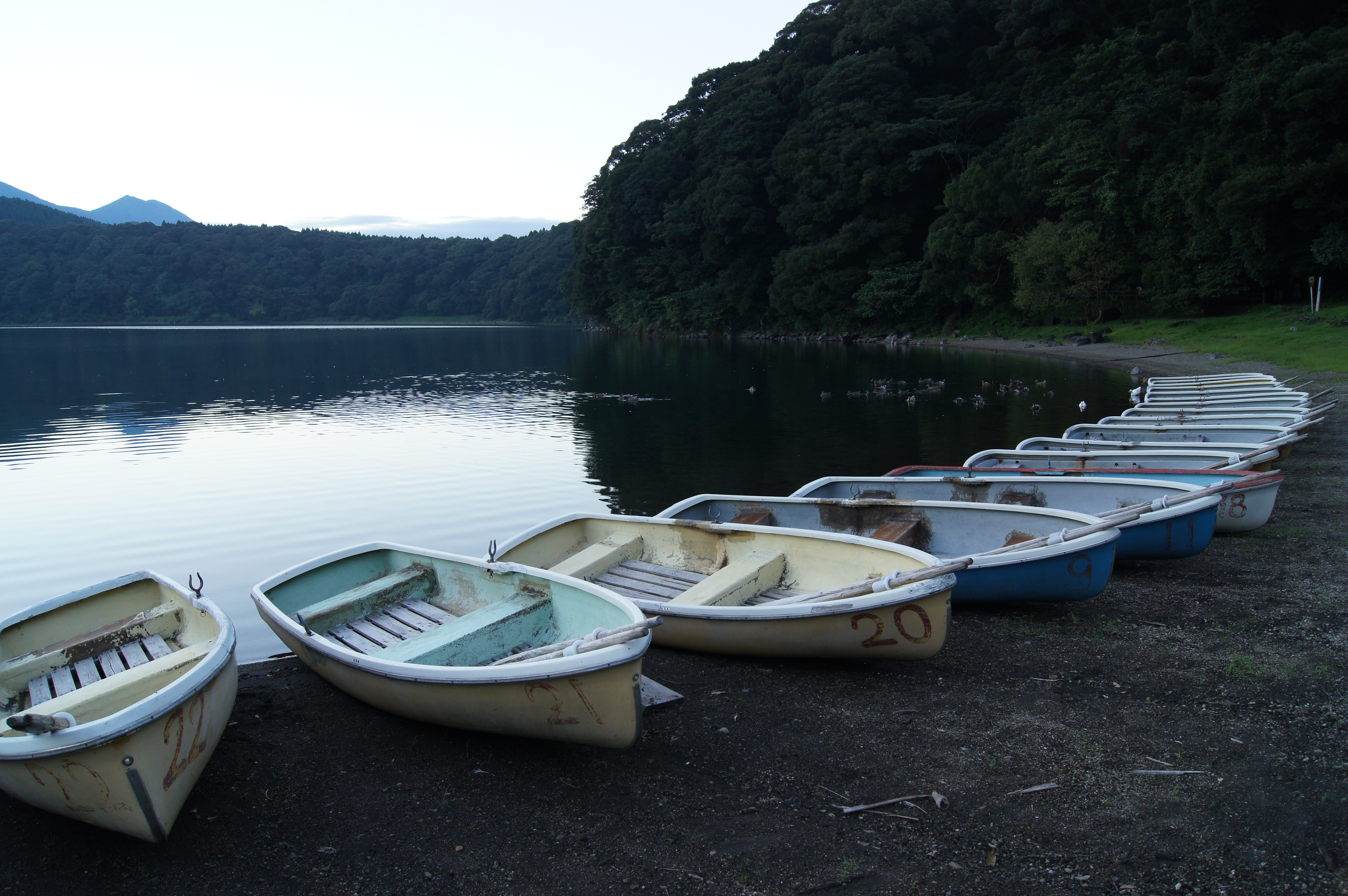 <b>ISO200<br>α55 / DT 18-55mm F3.5-5.6 SAM / 約5.3MB / 4,912×3,264 / 1/15秒 / F8 / -0.3EV / WB:太陽光 / 18mm</b>