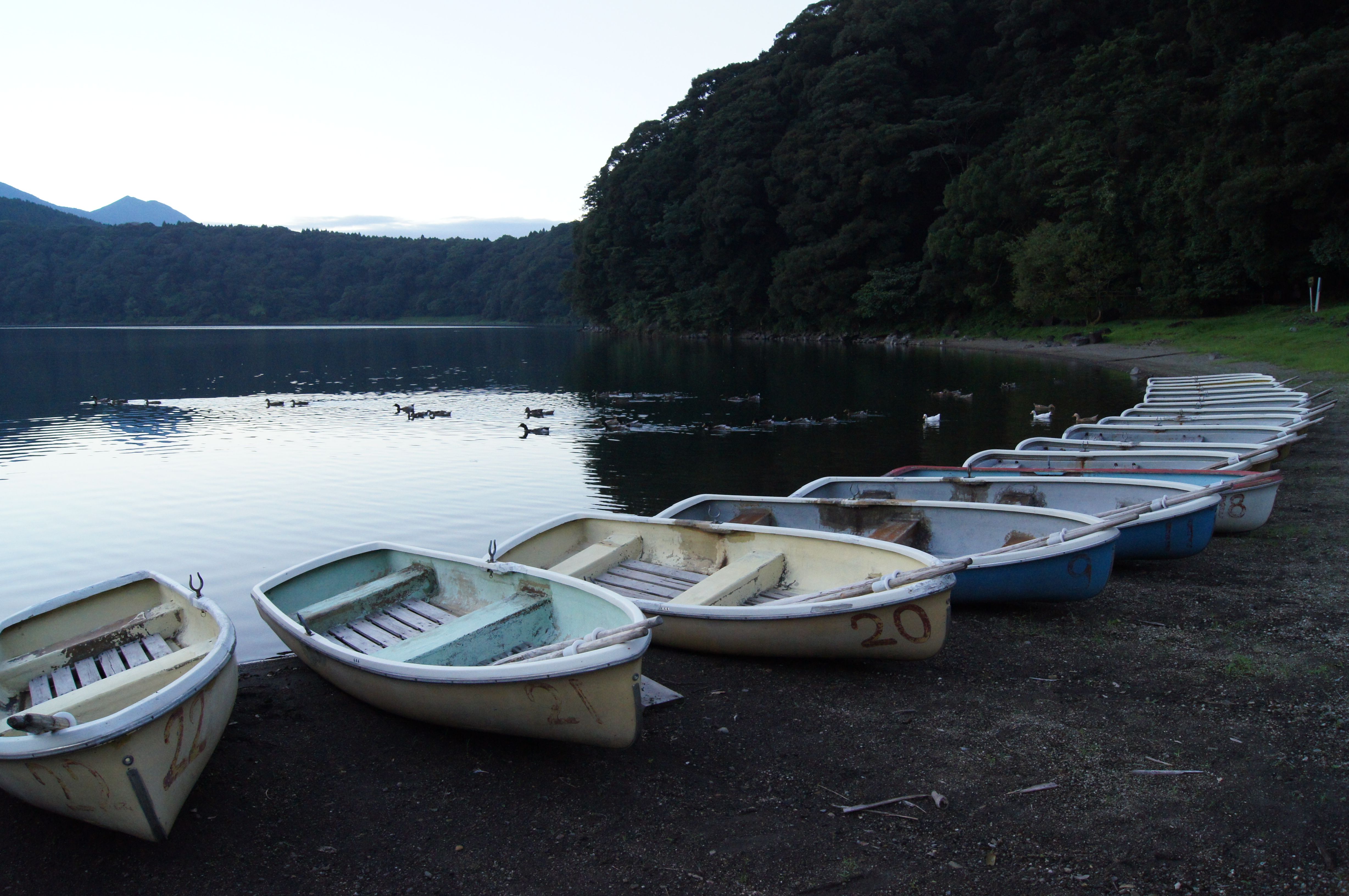 <b>ISO1600<br>α55 / DT 18-55mm F3.5-5.6 SAM / 約5.2MB / 4,912×3,264 / 1/125秒 / F8 / -0.3EV / WB:太陽光 / 18mm</b>