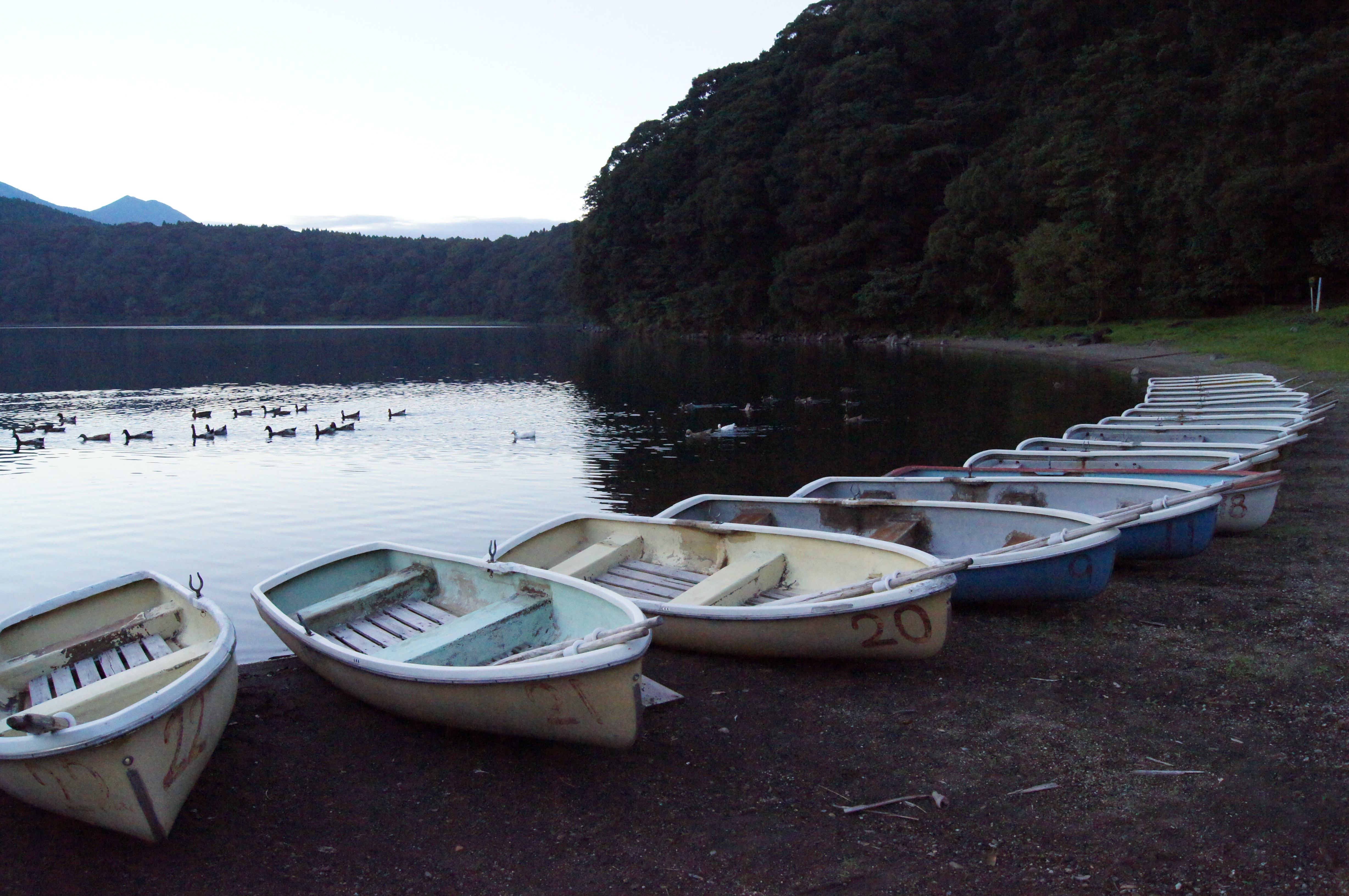 <b>ISO6400<br>α55 / DT 18-55mm F3.5-5.6 SAM / 約5.7MB / 4,912×3,264 / 1/500秒 / F8 / -0.7EV / WB:太陽光 / 18mm</b>