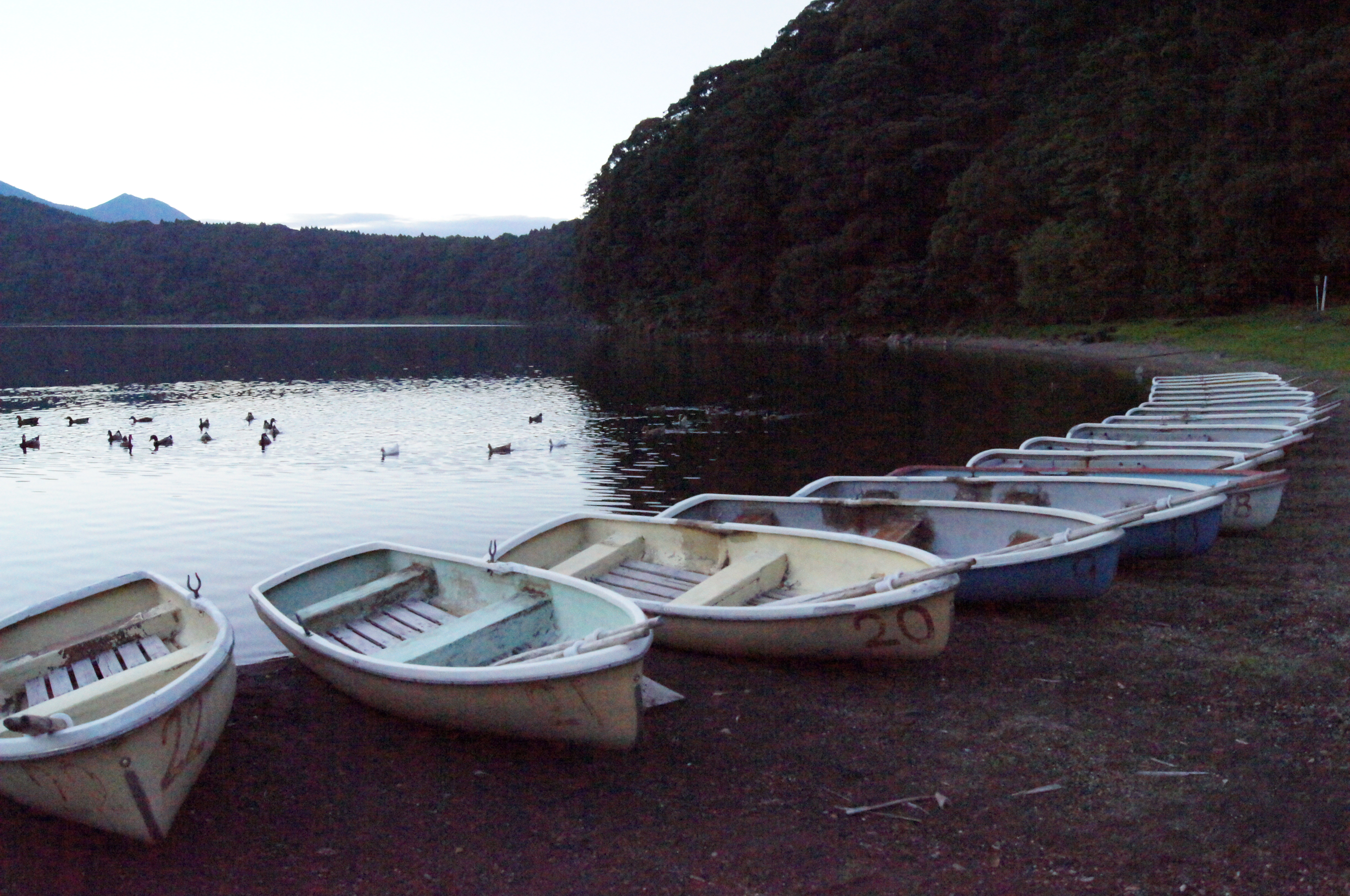 <b>ISO12800<br>α55 / DT 18-55mm F3.5-5.6 SAM / 約5.7MB / 4,912×3,264 / 1/1,000秒 / F8 / -0.7EV / WB:太陽光 / 18mm</b>