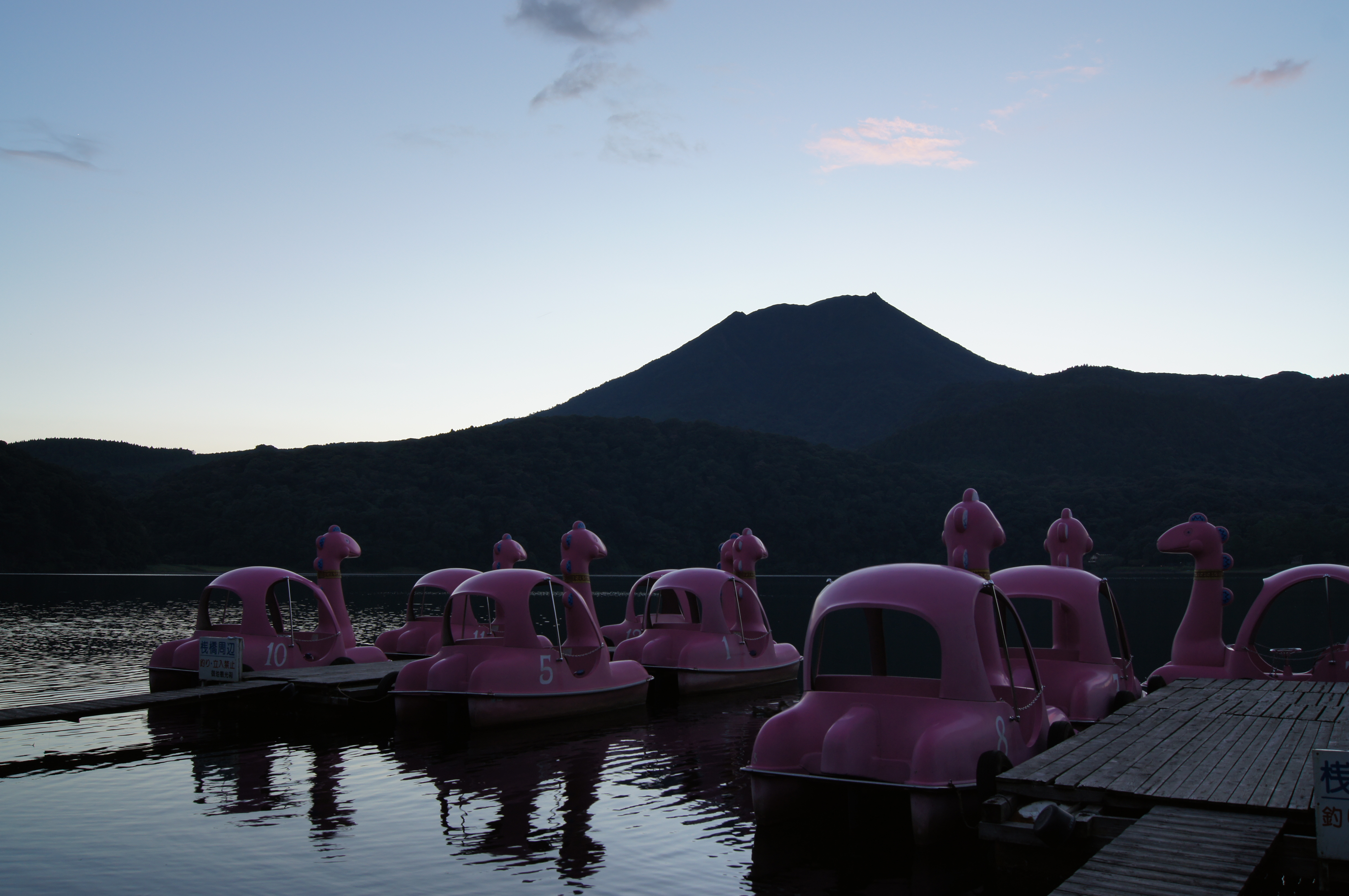 <b>Dレンジオプティマイザー：LV1<br>α55 / DT 18-55mm F3.5-5.6 SAM / 約3.3MB / 4,912×3,264 / 1/20秒 / F8 / -0.3EV / ISO100 / WB:太陽光 / 20mm</b>