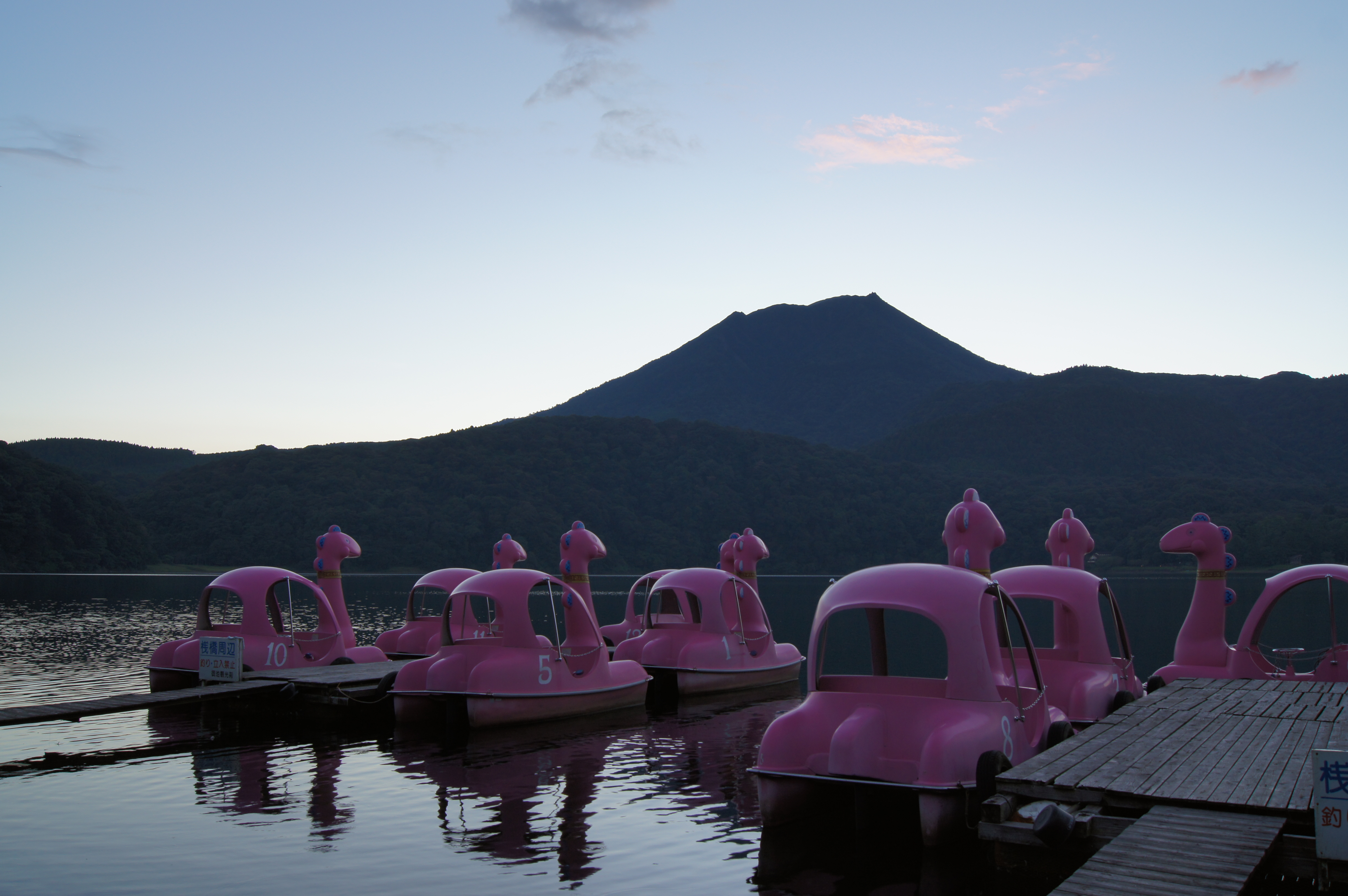 <b>Dレンジオプティマイザー：LV4<br>α55 / DT 18-55mm F3.5-5.6 SAM / 約3.3MB / 4,912×3,264 / 1/20秒 / F8 / -0.3EV / ISO100 / WB:太陽光 / 20mm</b>