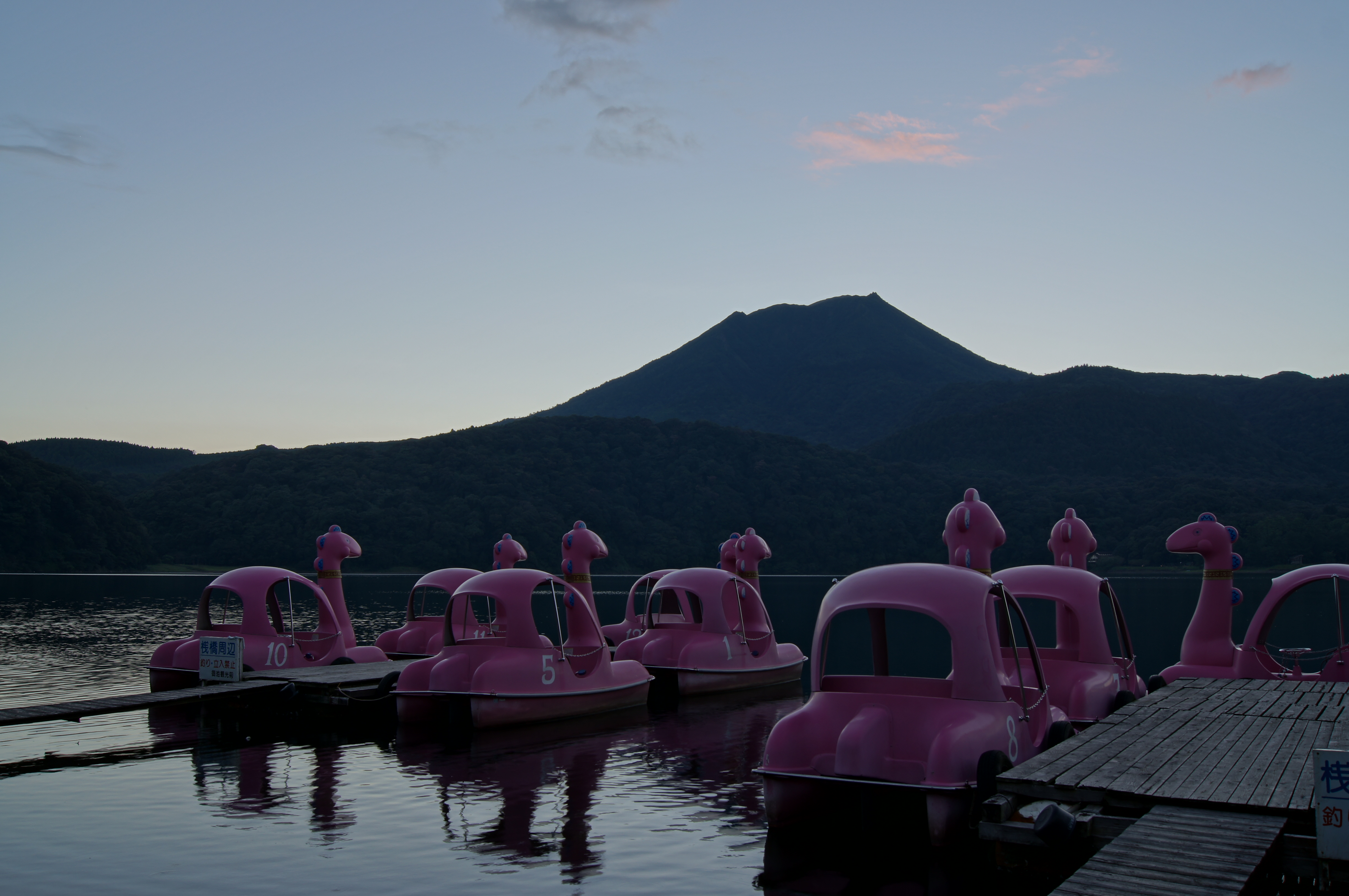 <b>オートHDR：オート<br>α55 / DT 18-55mm F3.5-5.6 SAM / 約3.1MB / 4,912×3,264 / 1/20秒 / F8 / -0.3EV / ISO100 / WB:太陽光 / 20mm</b>