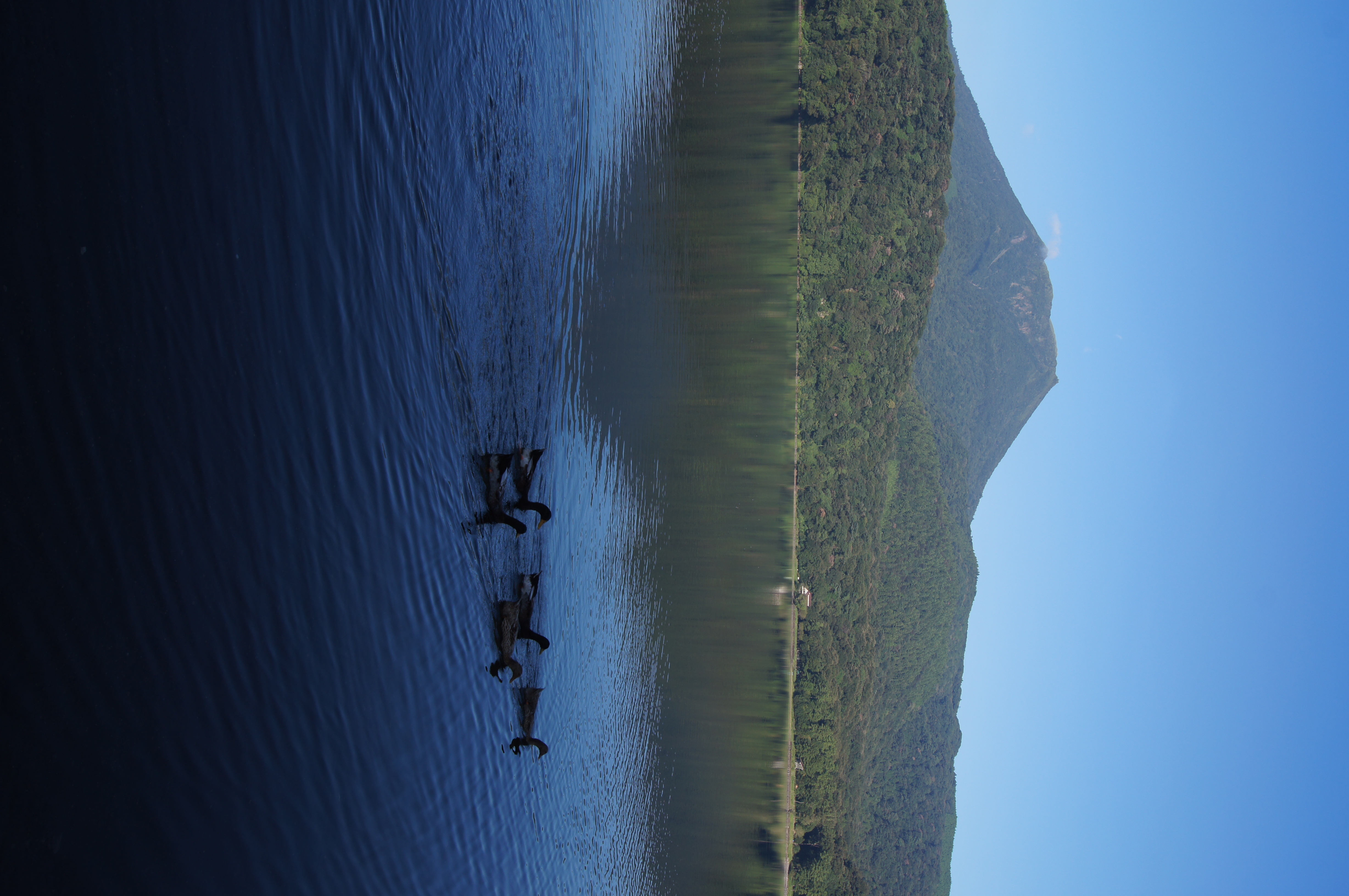 <b>α55 / DT 18-55mm F3.5-5.6 SAM / 約4.3MB / 3,264×4,912 / 1/160秒 / F10 / -1EV / ISO100 / WB:オート / 18mm</b>