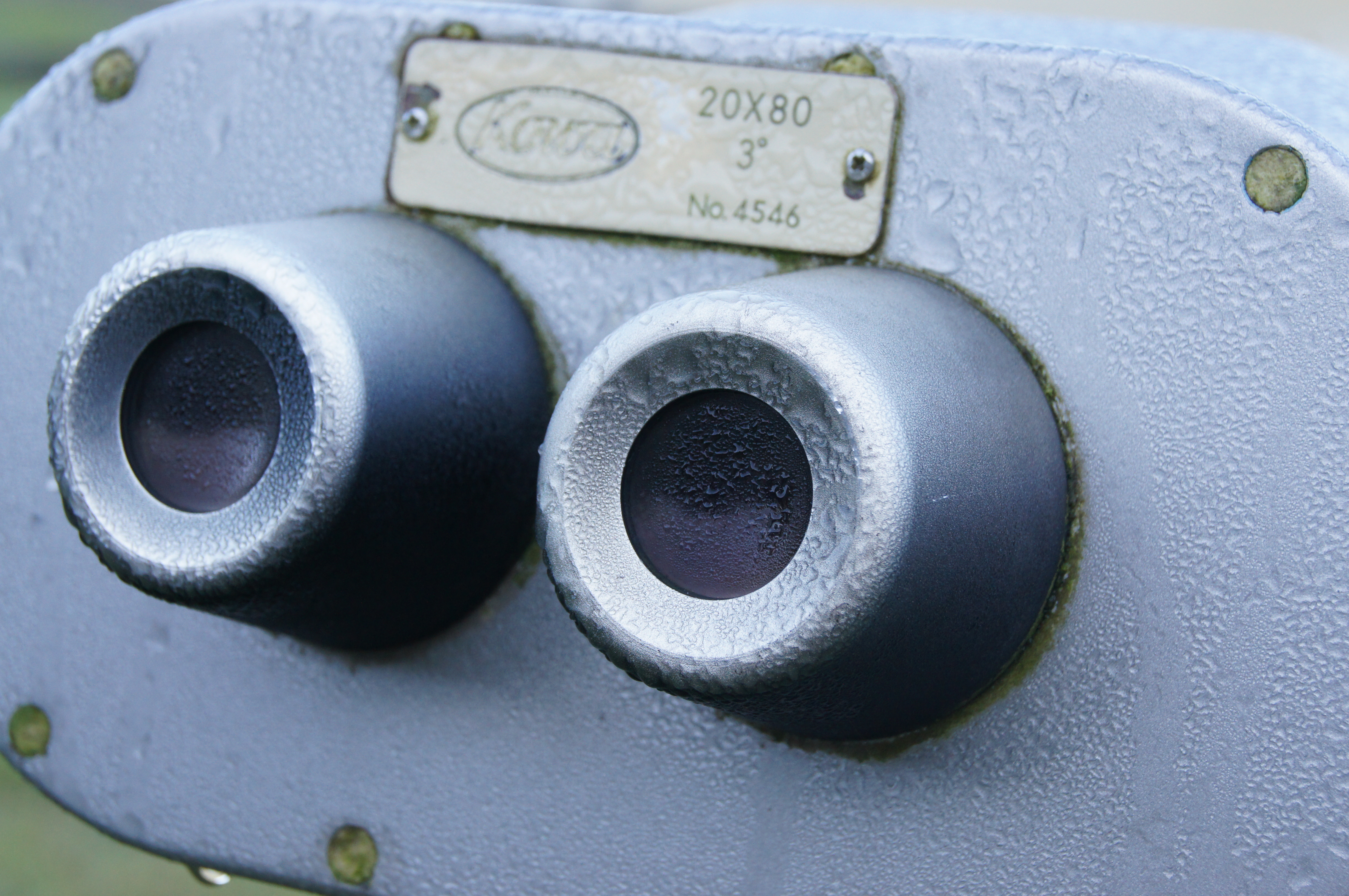 <b>α55 / DT 18-55mm F3.5-5.6 SAM / 約5.6MB / 4,912×3,264 / 1/125秒 / F10 / 0EV / ISO800 / WB:オート / 55mm</b>