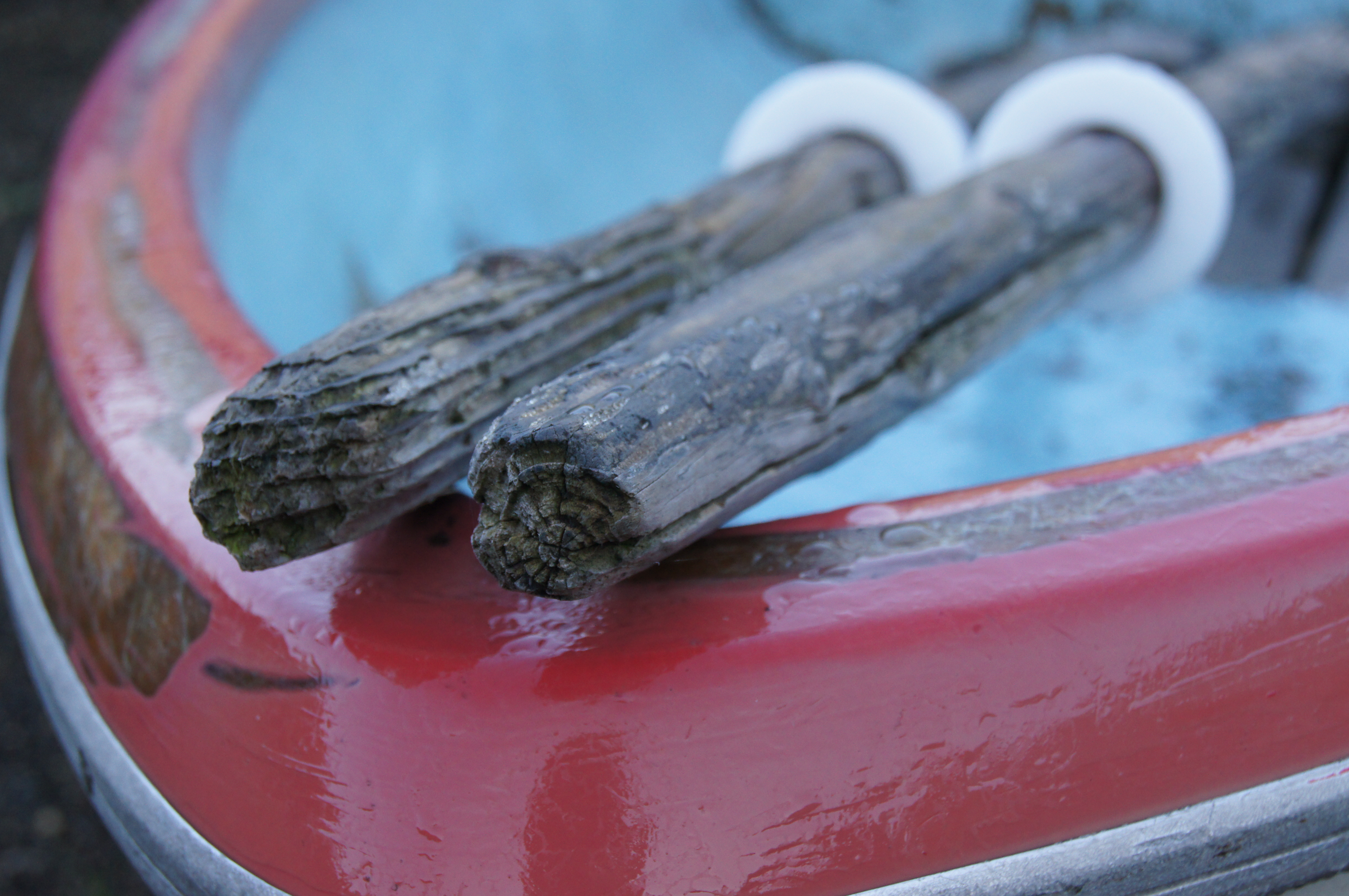 <b>α55 / DT 18-55mm F3.5-5.6 SAM / 約4.5MB / 4,912×3,264 / 1/320秒 / F8 / -0.3EV / ISO800 / WB:オート / 45mm</b>