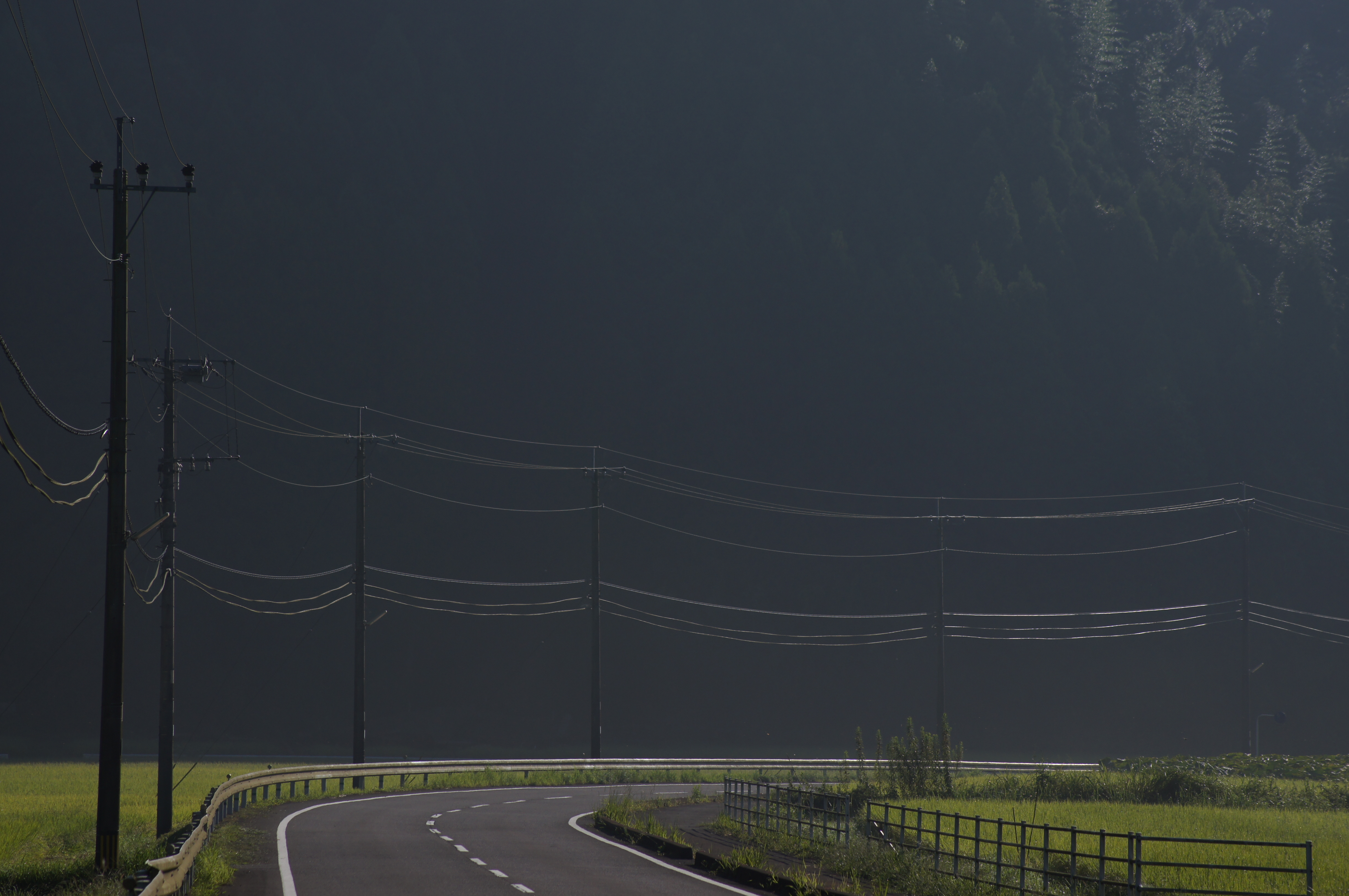 <b>α55 / DT 55-200mm F4-5.6 SAM / 約3.3MB / 4,912×3,264 / 1/800秒 / F8 / -2.0EV / ISO100 / WB:オート / 135mm</b>