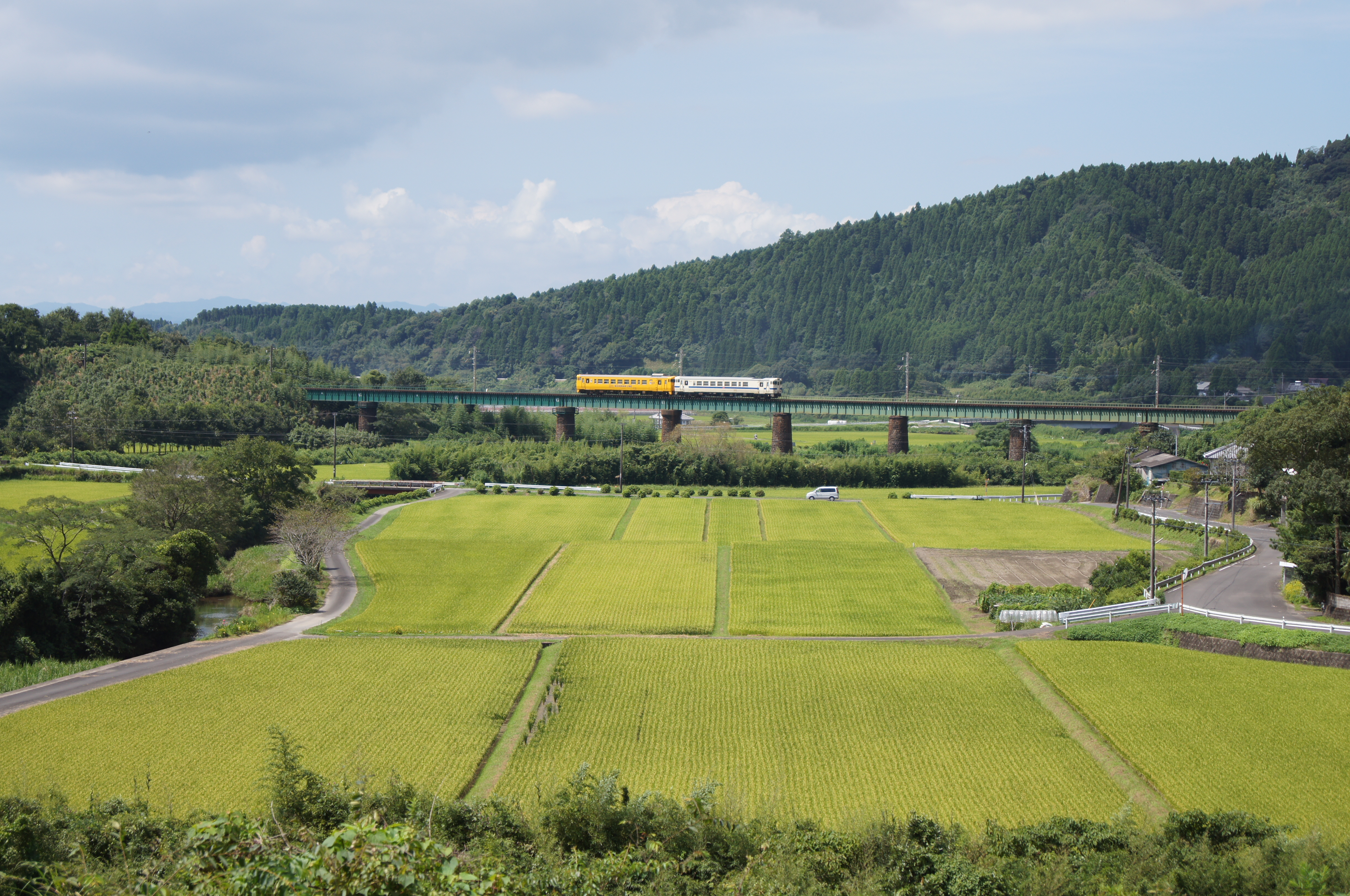 <b>α55 / DT 18-55mm F3.5-5.6 SAM / 約7.0MB / 4,912×3,264 / 1/500秒 / F5.6 / 0EV / ISO100 / WB:オート / 55mm</b>