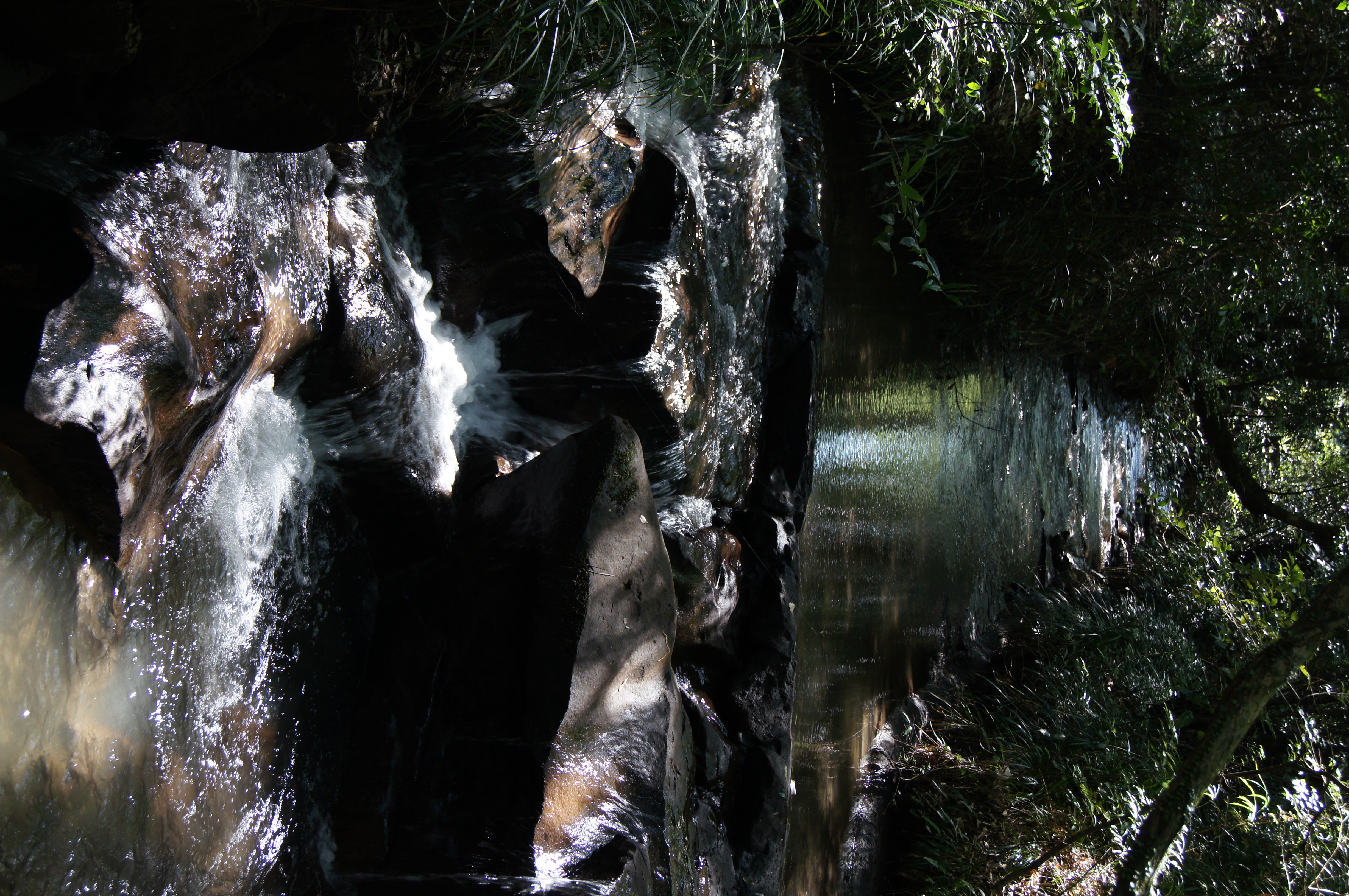 <b>α55 / DT 18-55mm F3.5-5.6 SAM / 約7.2MB / 3,264×4,912 / 1/60秒 / F5 / -1EV / ISO400 / WB:オート / 40mm</b>