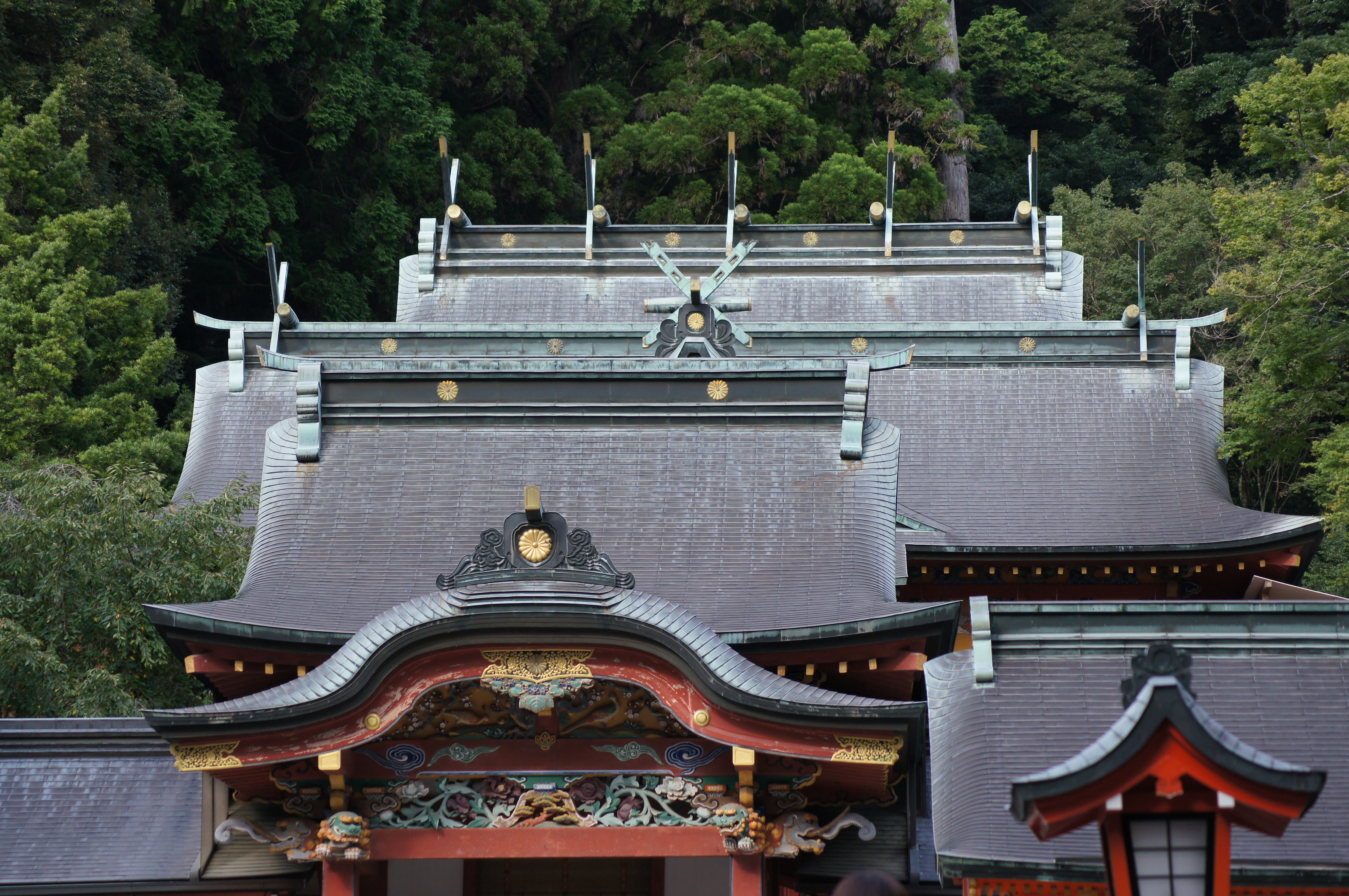 <b>α55 / DT 55-200mm F4-5.6 SAM / 約7.4MB / 4,912×3,264 / 1/400秒 / F5.6 / 0EV / ISO400 / WB:太陽光 / 85mm</b>