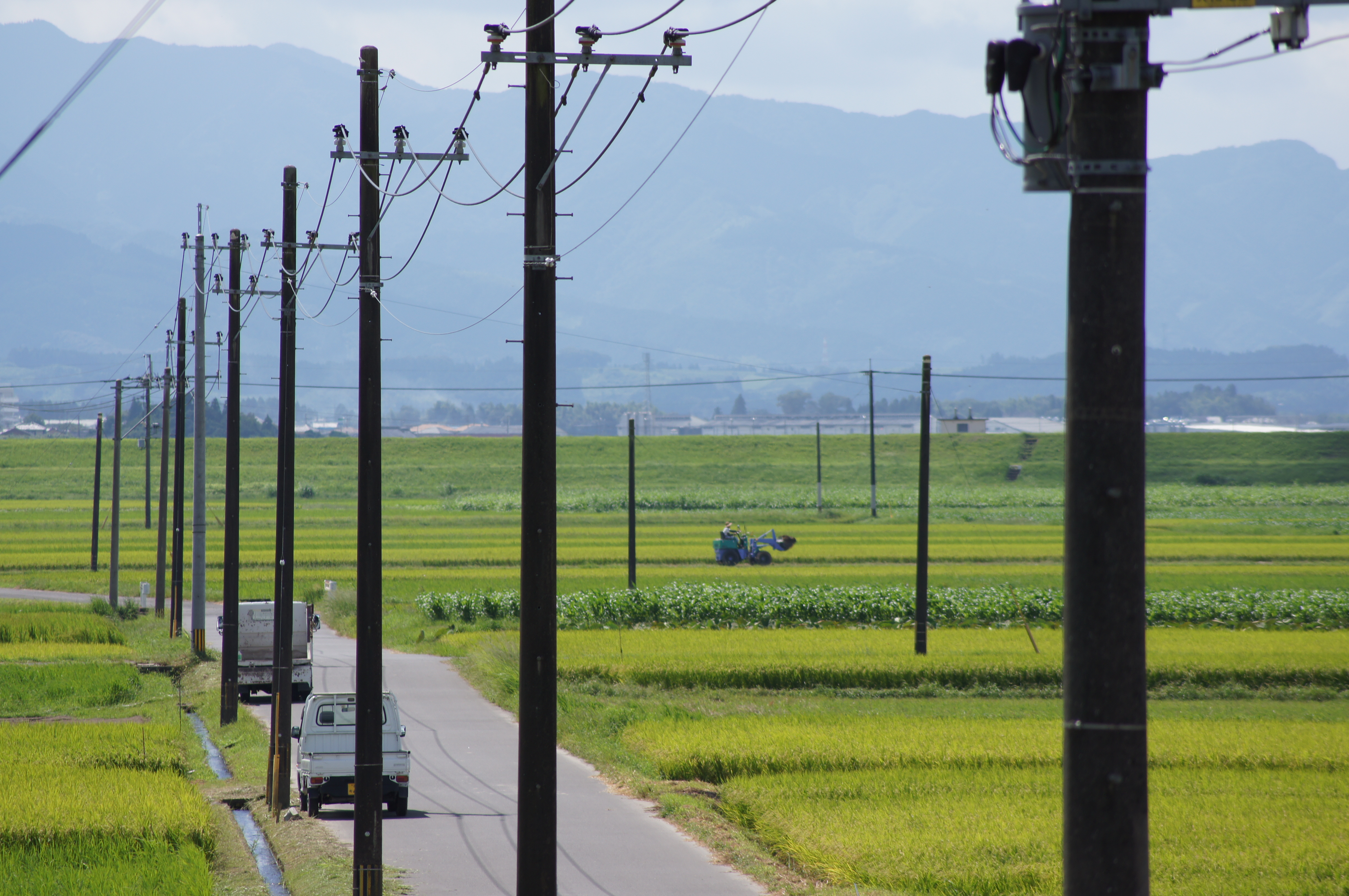 <b>α55 / DT 55-200mm F4-5.6 SAM / 約4.8MB / 4,912×3,264 / 1/500秒 / F8 / -0.3EV / ISO100 / WB:太陽光 / 200mm</b>