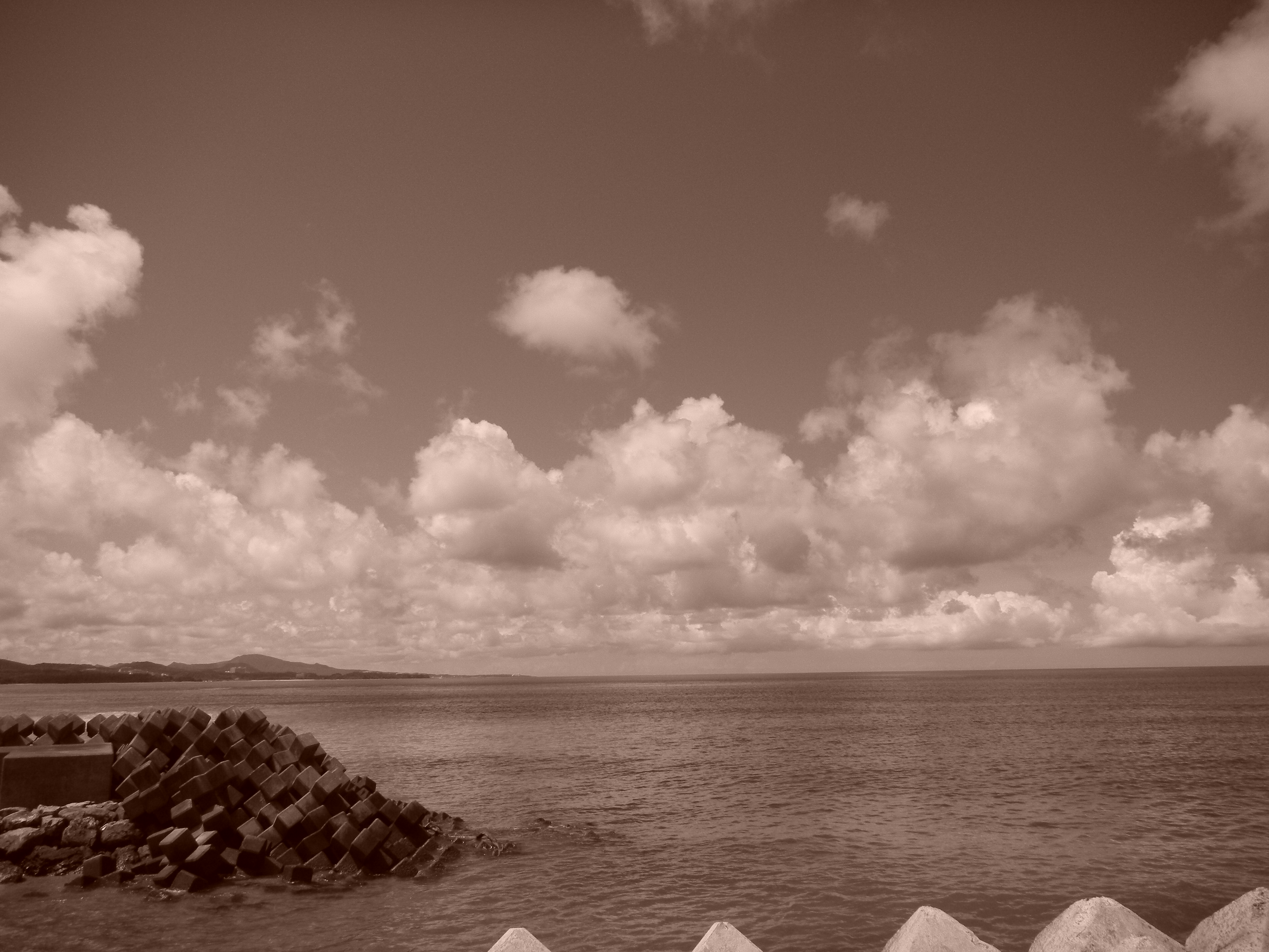 <b>ピクチャーカラー：セピア<br>COOLPIX S1100pj / 約2.9MB / 4,320×3,240 / 1/340秒 / F7.8 / 0EV / ISO80 / WB:オート / 5mm</b>