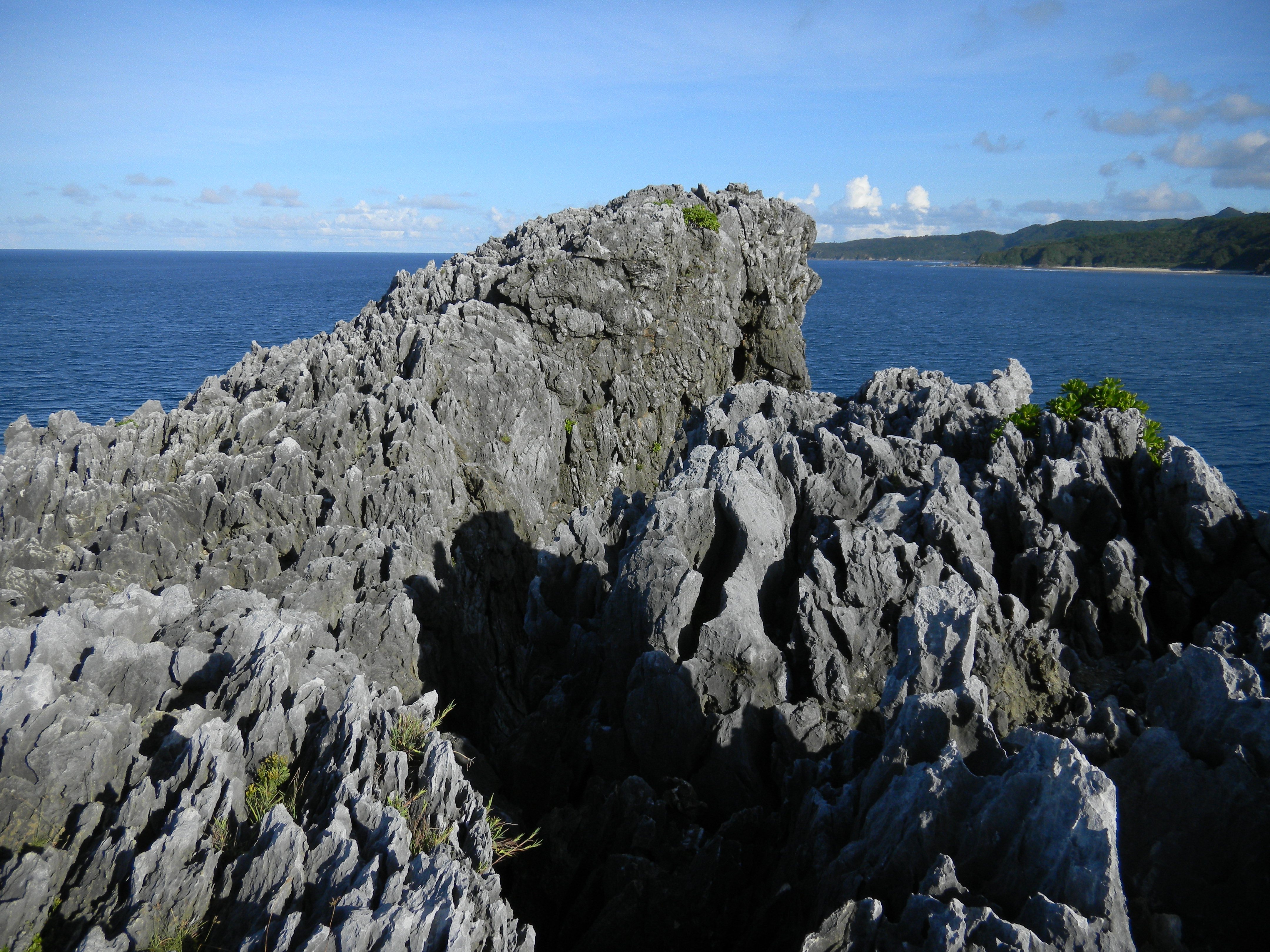 <b>オート撮影<br>COOLPIX S1100pj / 約3.1MB / 4,320×3,240 / 1/844秒 / F3.9 / -0.7EV / ISO80 / WB:オート / 5mm</b>