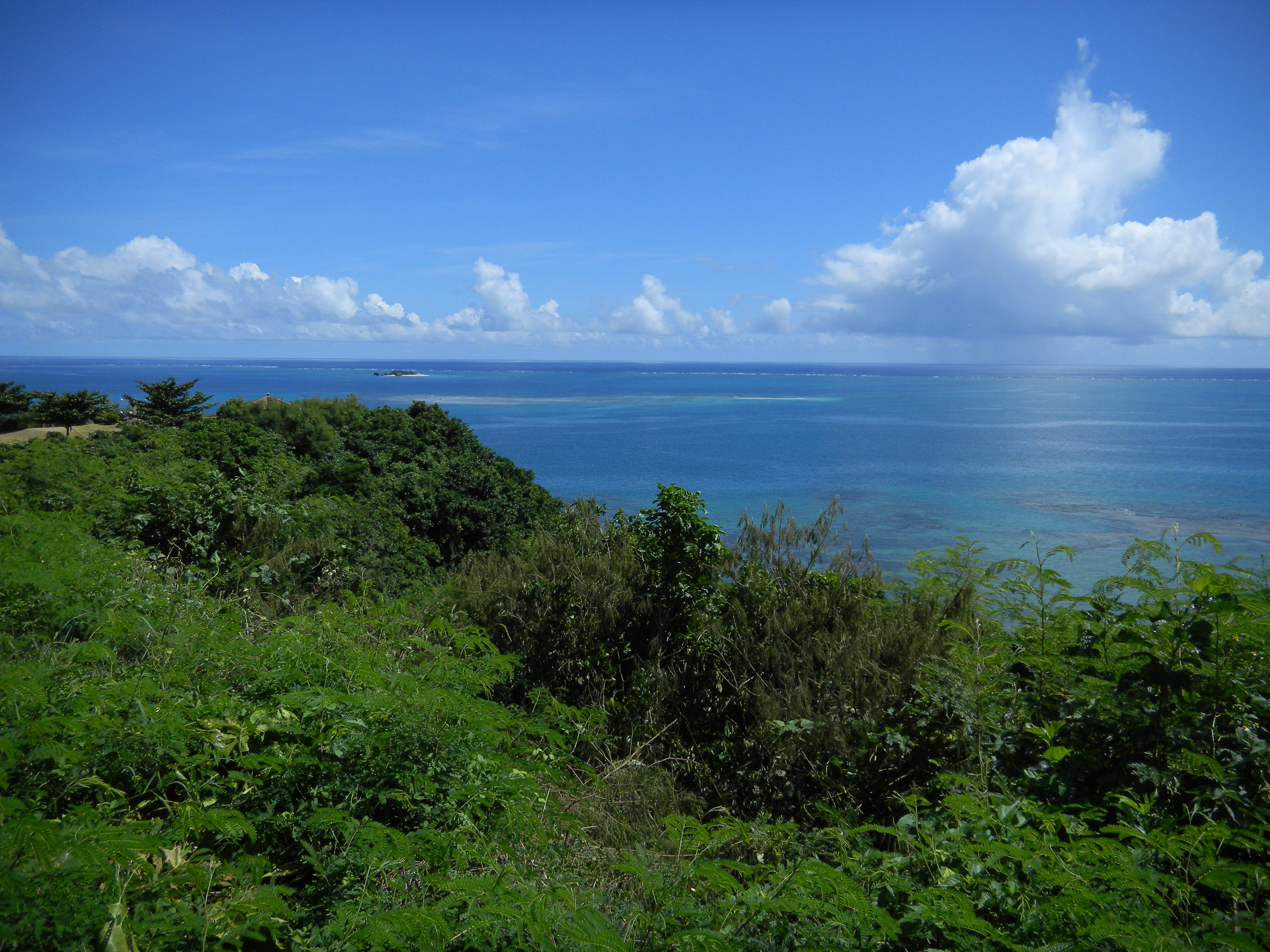 <b>オート撮影<br>COOLPIX S1100pj / 約2.9MB / 4,320×3,240 / 1/289秒 / F7.8 / -0.7EV / ISO80 / WB:晴天 / 5mm</b>