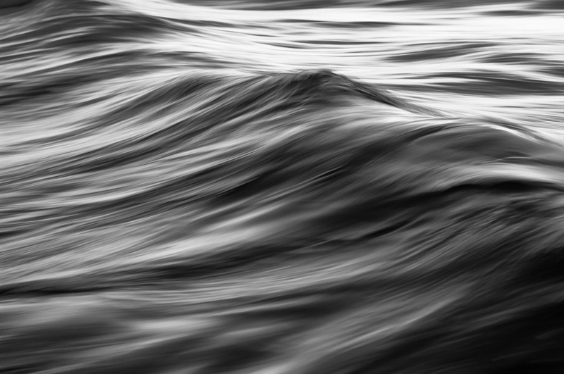 <b>(c)岡嶋和幸</b>